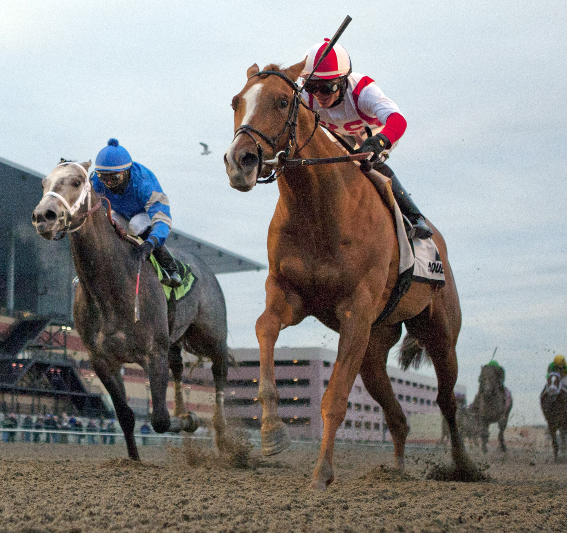 Leave the Light On wins the Remsen