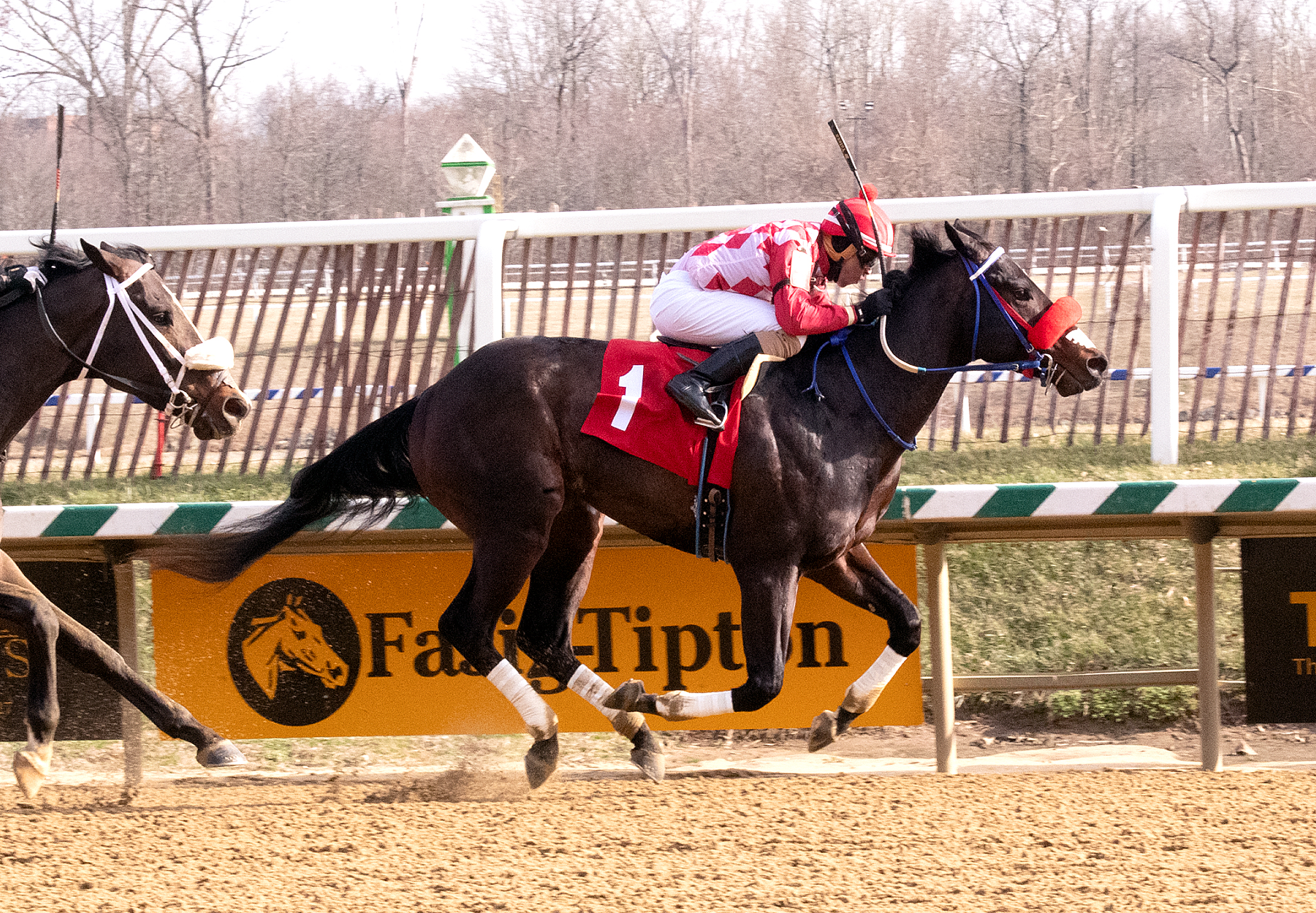 Lebda wins the 2020 Miracle Wood at Laurel Park