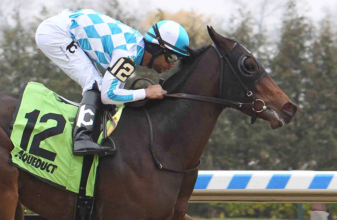 Leeloo wins a Dec. 11 maiden race at Aqueduct Racetrack