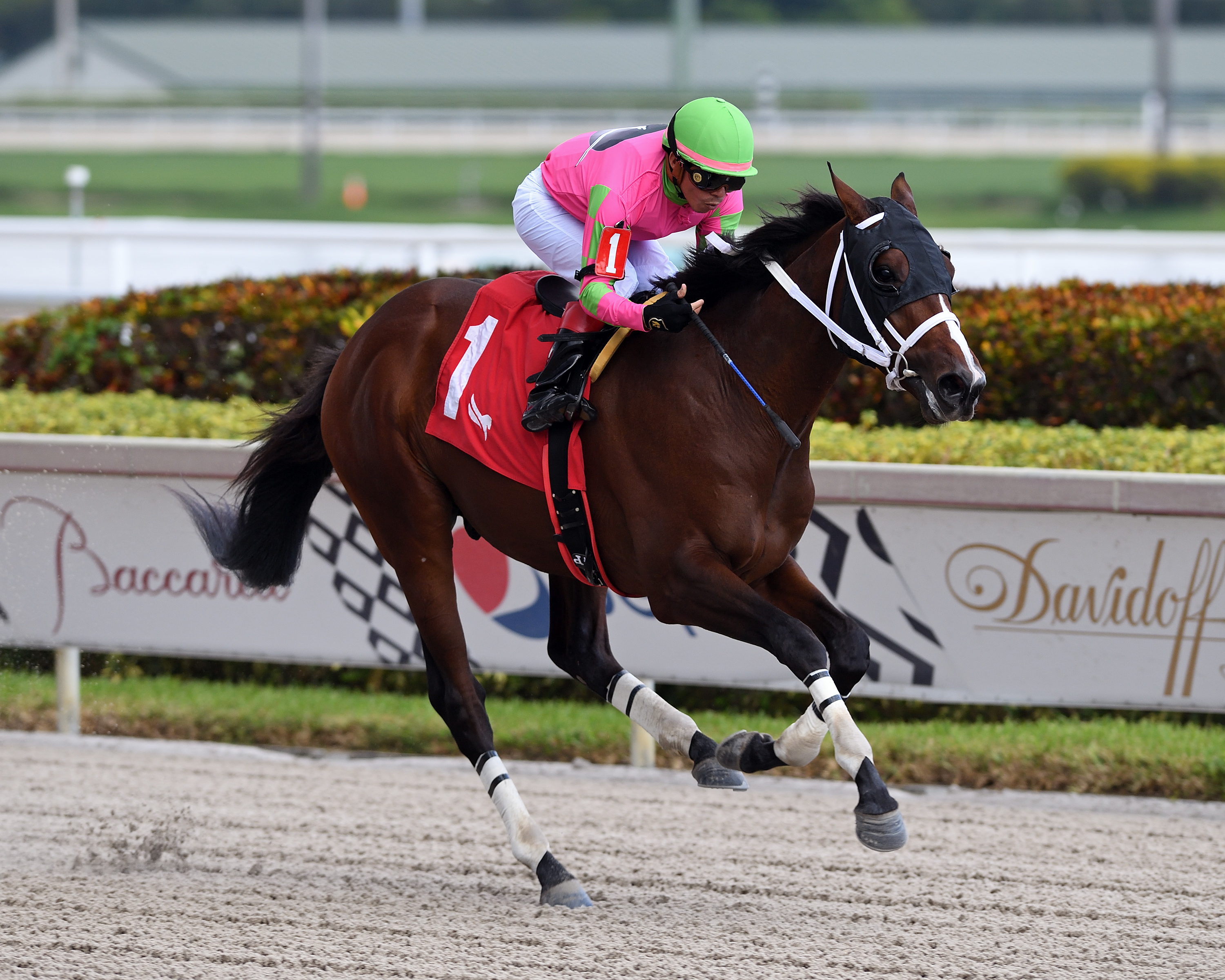 Legacy Isle wins at Gulfstream Nov 27 2022
