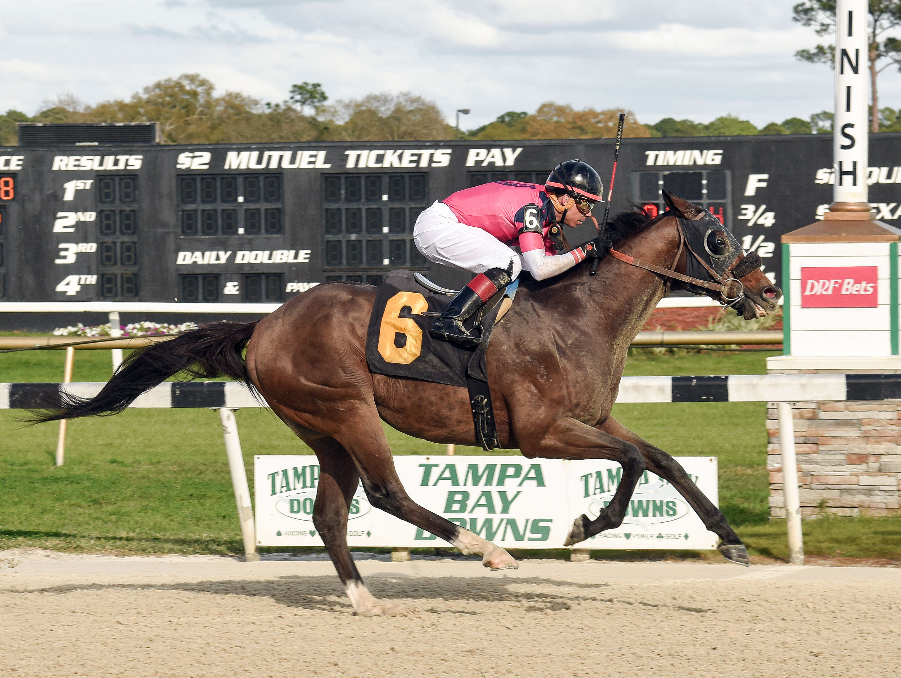 Legacy Azteca wins a Feb. 19 claiming race at Tampa Bay Downs