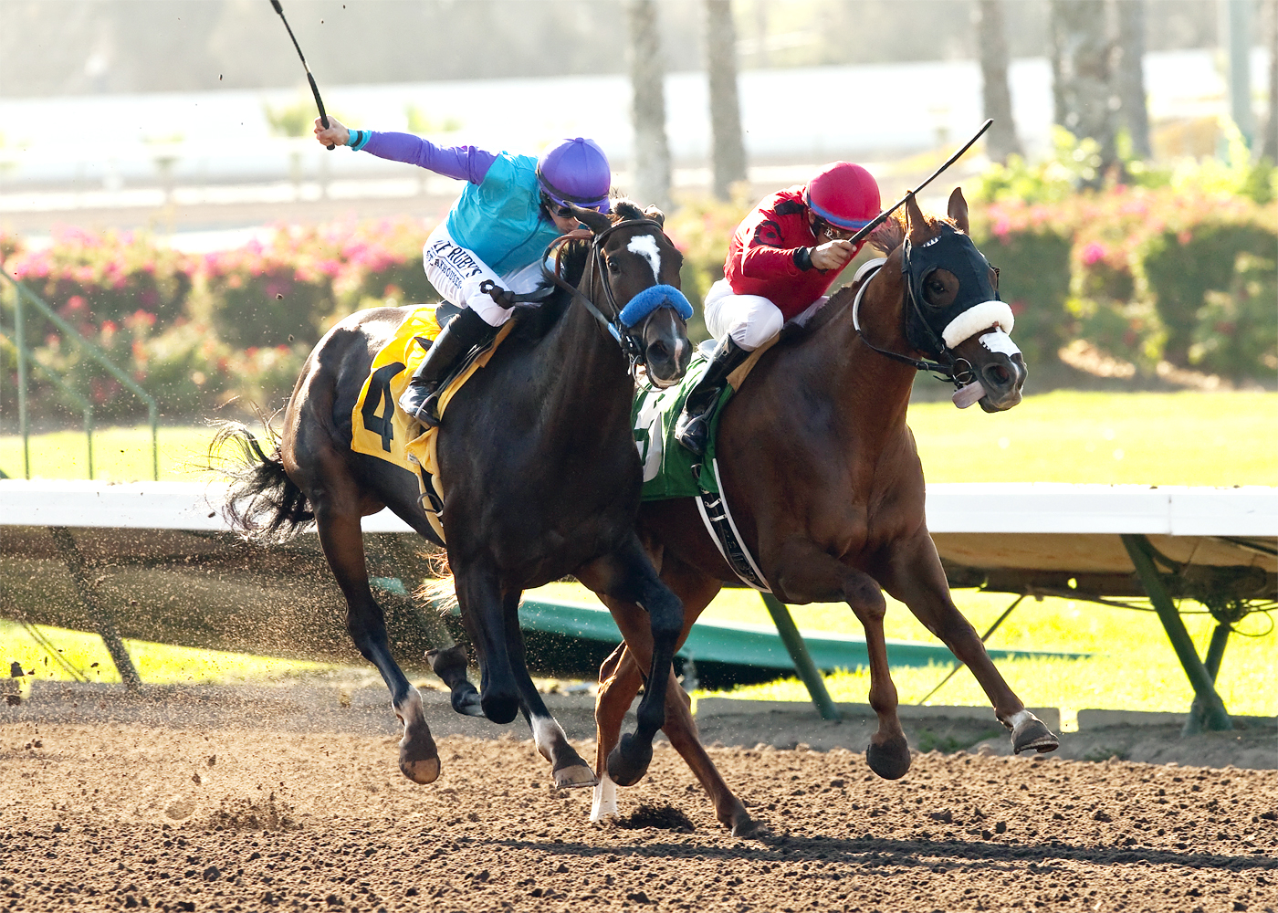 Legacy wins the Cypress Stakes