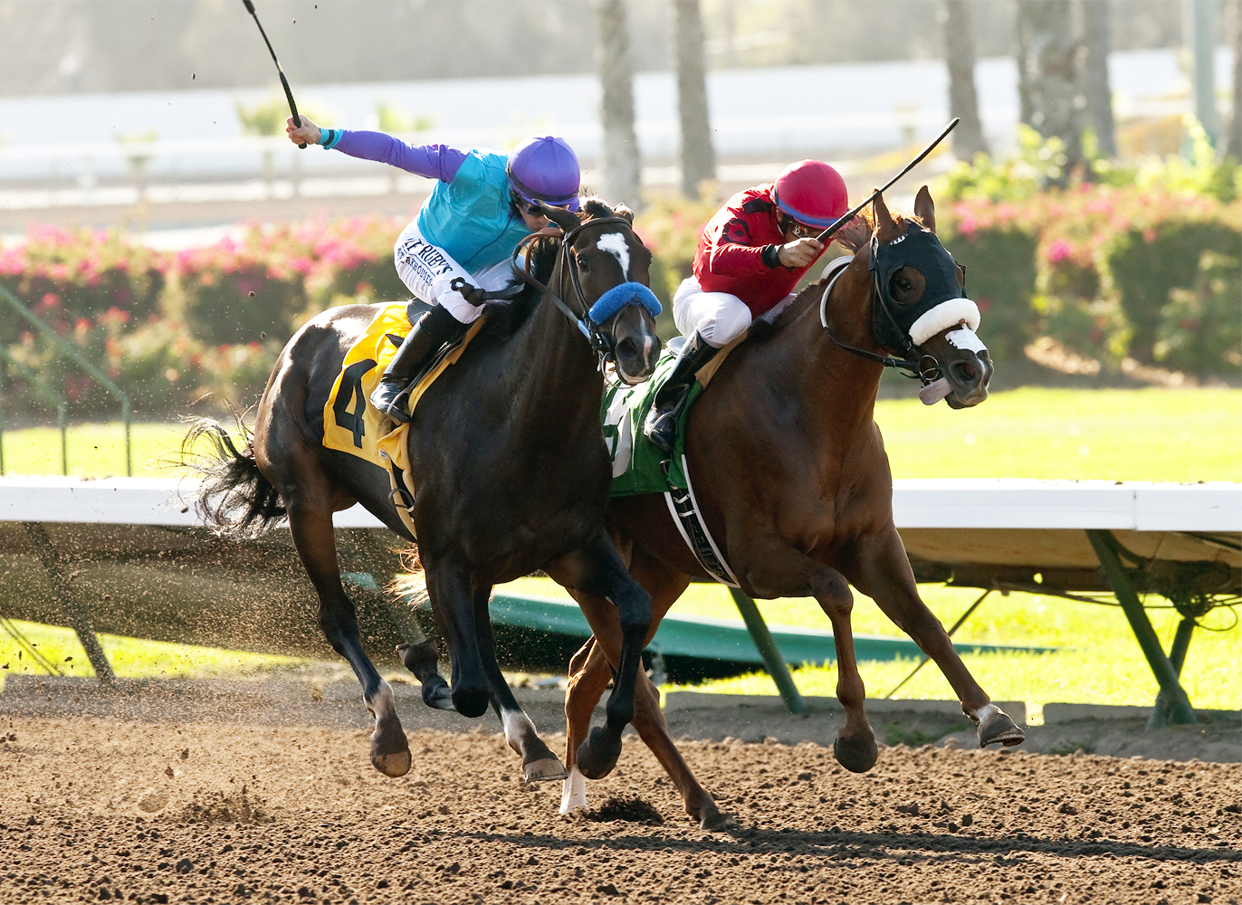 Legacy wins the Cypress Stakes