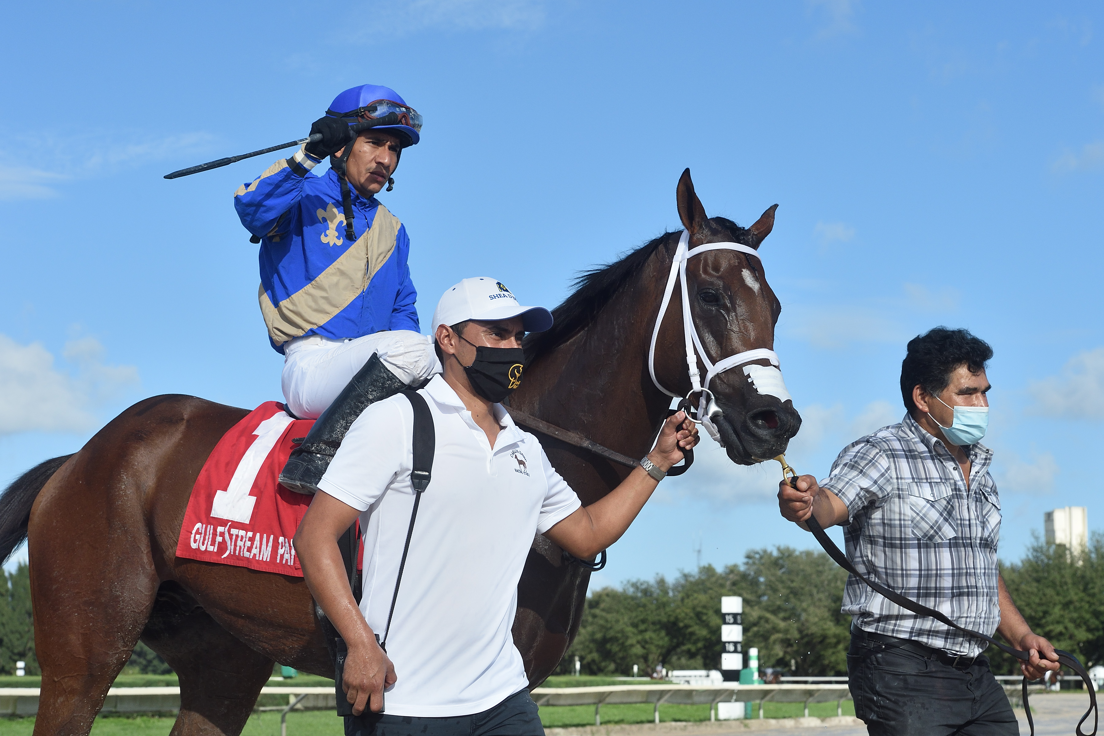 Legal Deal after winning the Millions Sprint Preview at Gulfstream Park