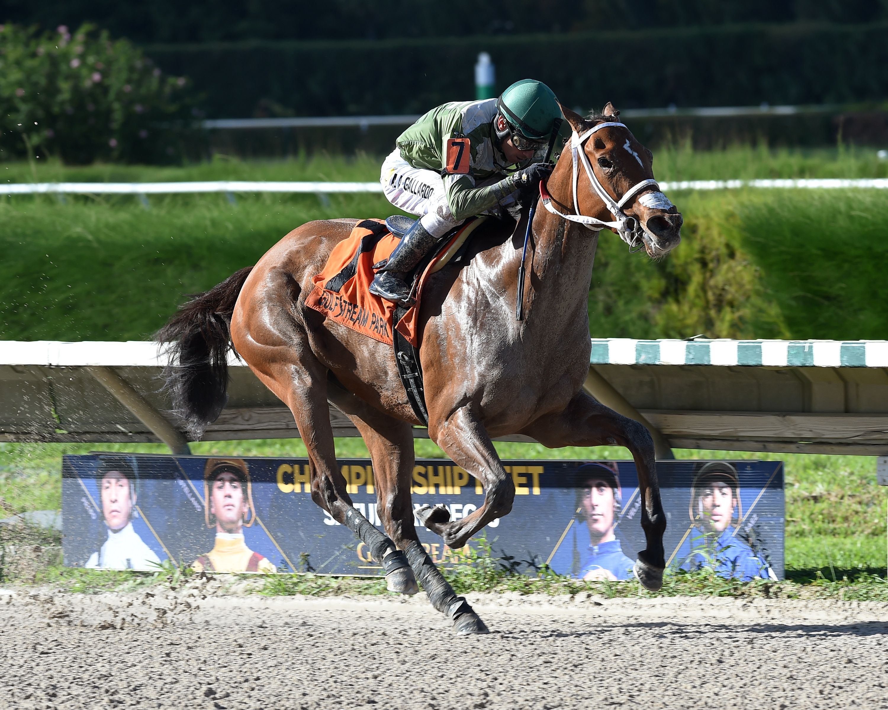 Legal Laura wins the Millions Distaff Preview Stakes