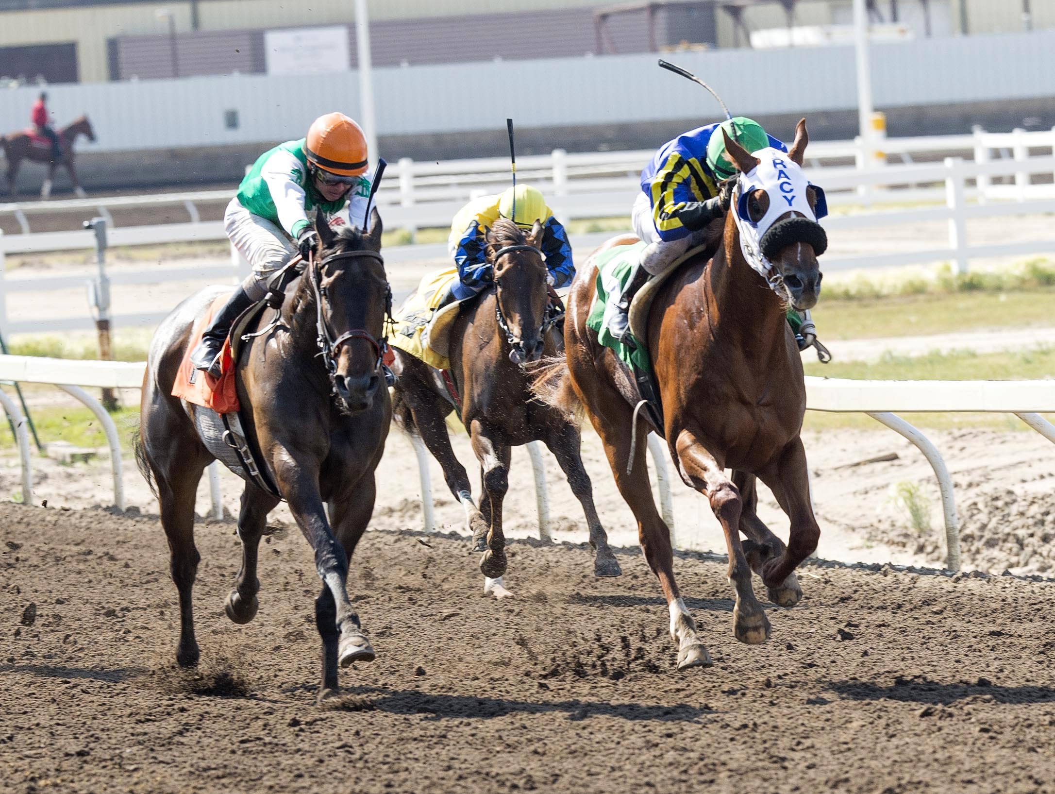 Legend Fortynine wins the 3- and 4-Year-Old Sales Stakes