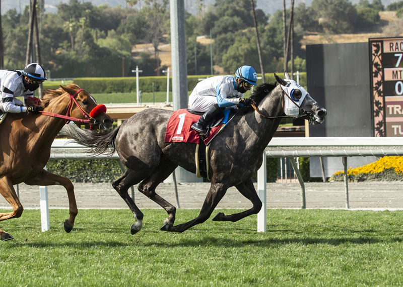 Leggs Galore wins Fran's Valentine 5-9-2021