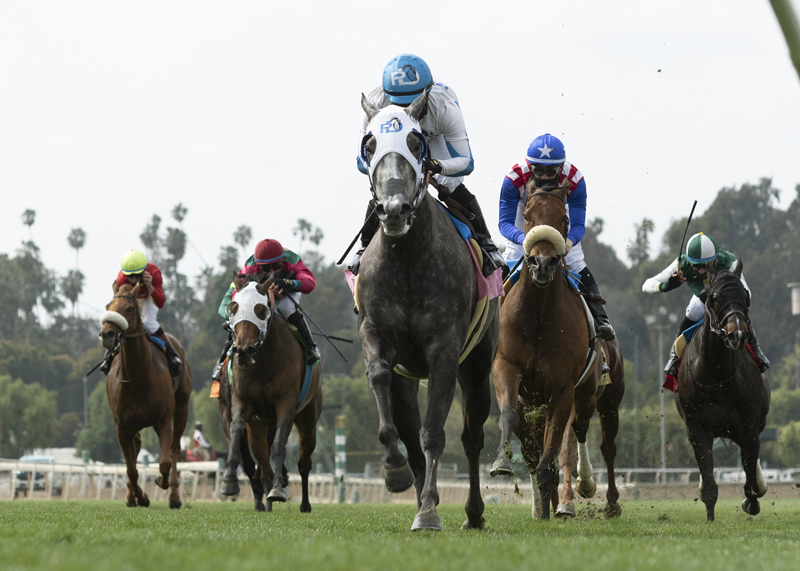Leggs Galore wins Irish O'Brien 3-14-2021