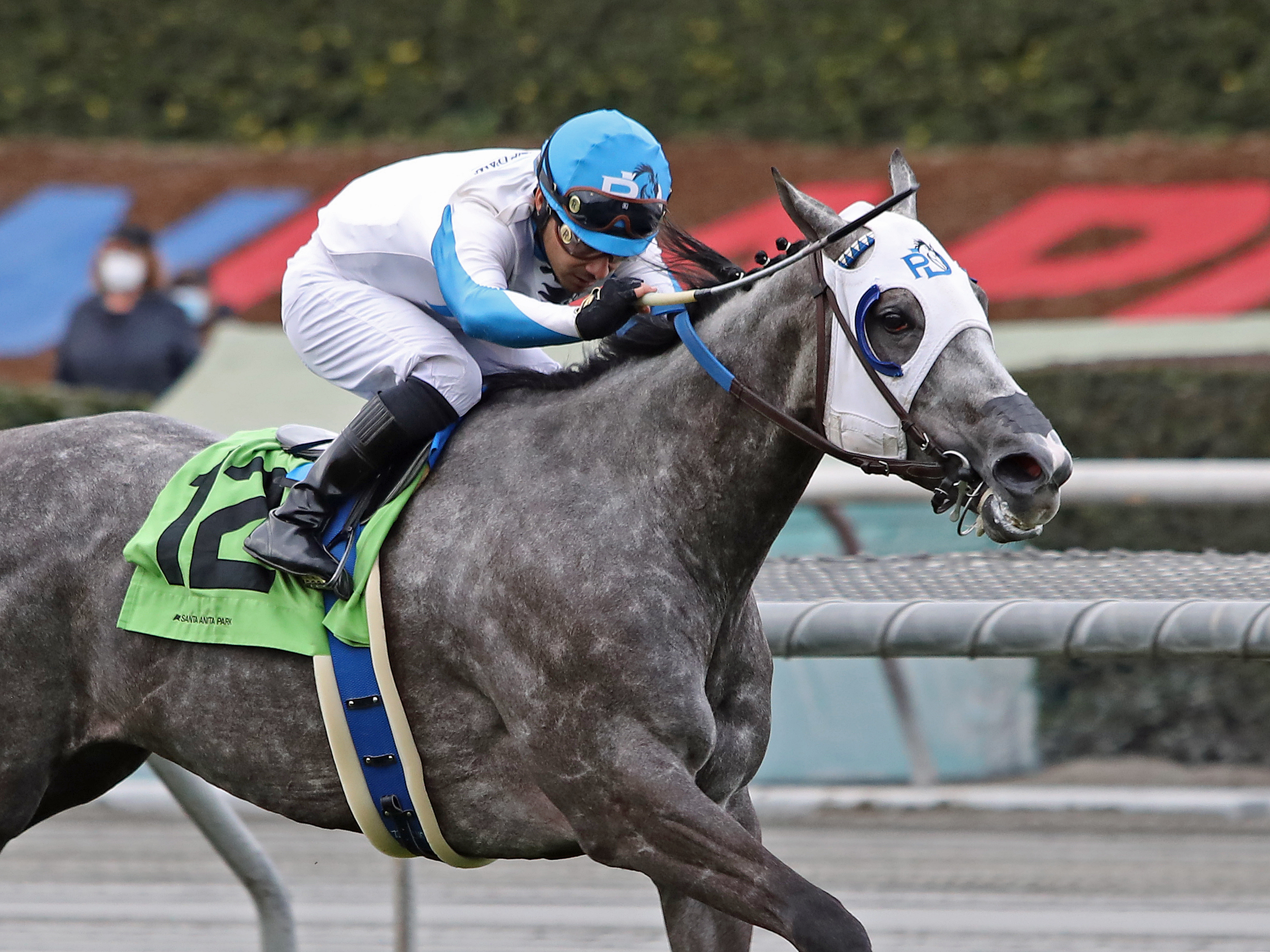 Leggs Galore wins Filly and Mare Turf 1-15-2022