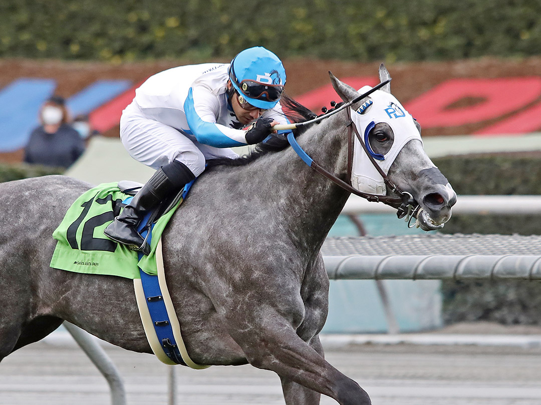Leggs Galore wins the 2022 Sunshine Millions Filly and Mare Turf Sprint Stakes at Santa Anita Park