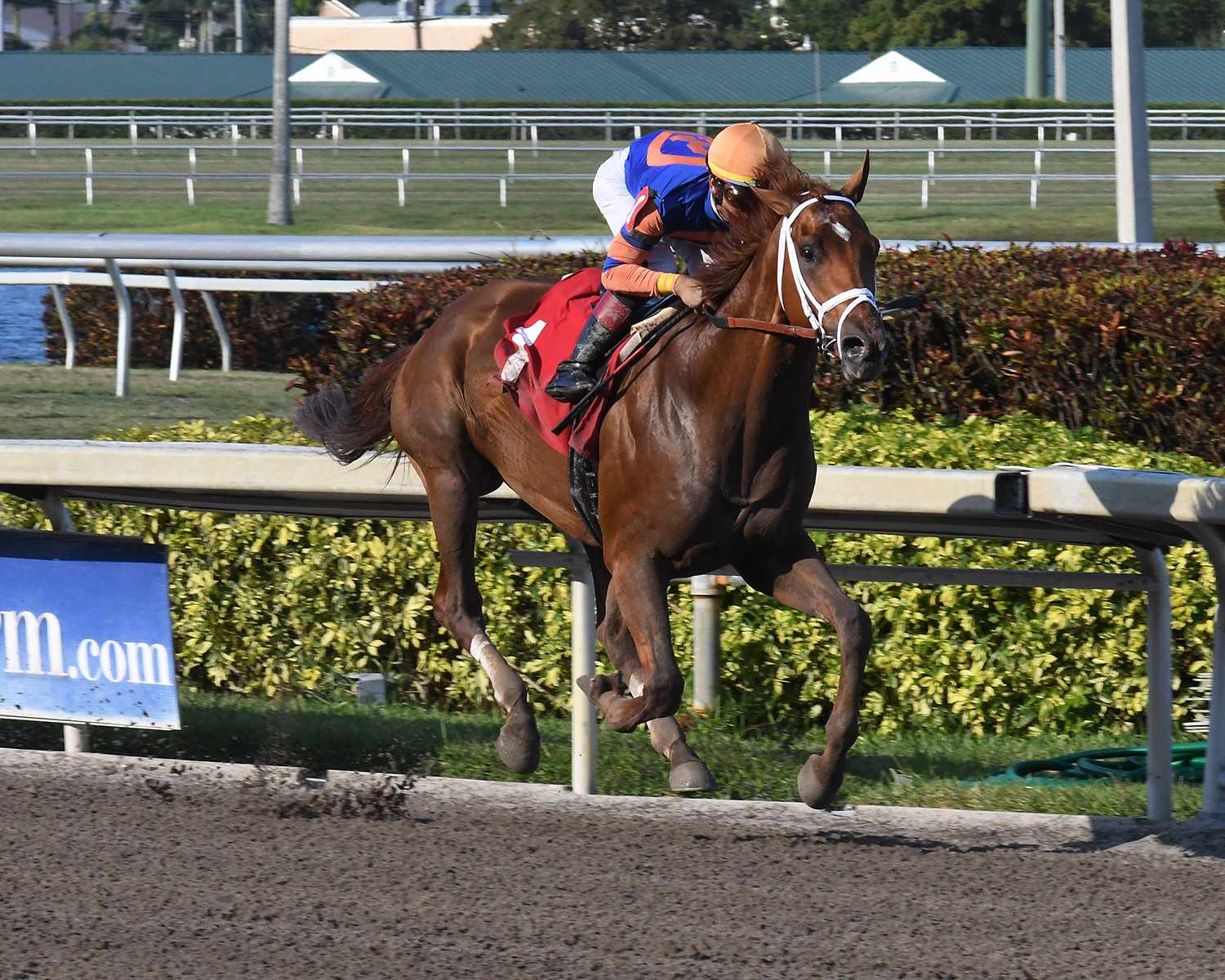 Legit wins an April 19 maiden race