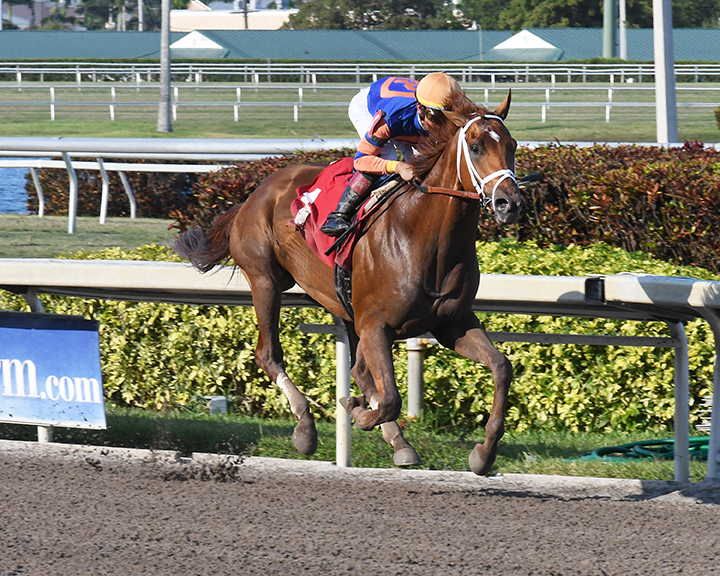 Legit wins a 2018 maiden race at Gulfstream Park