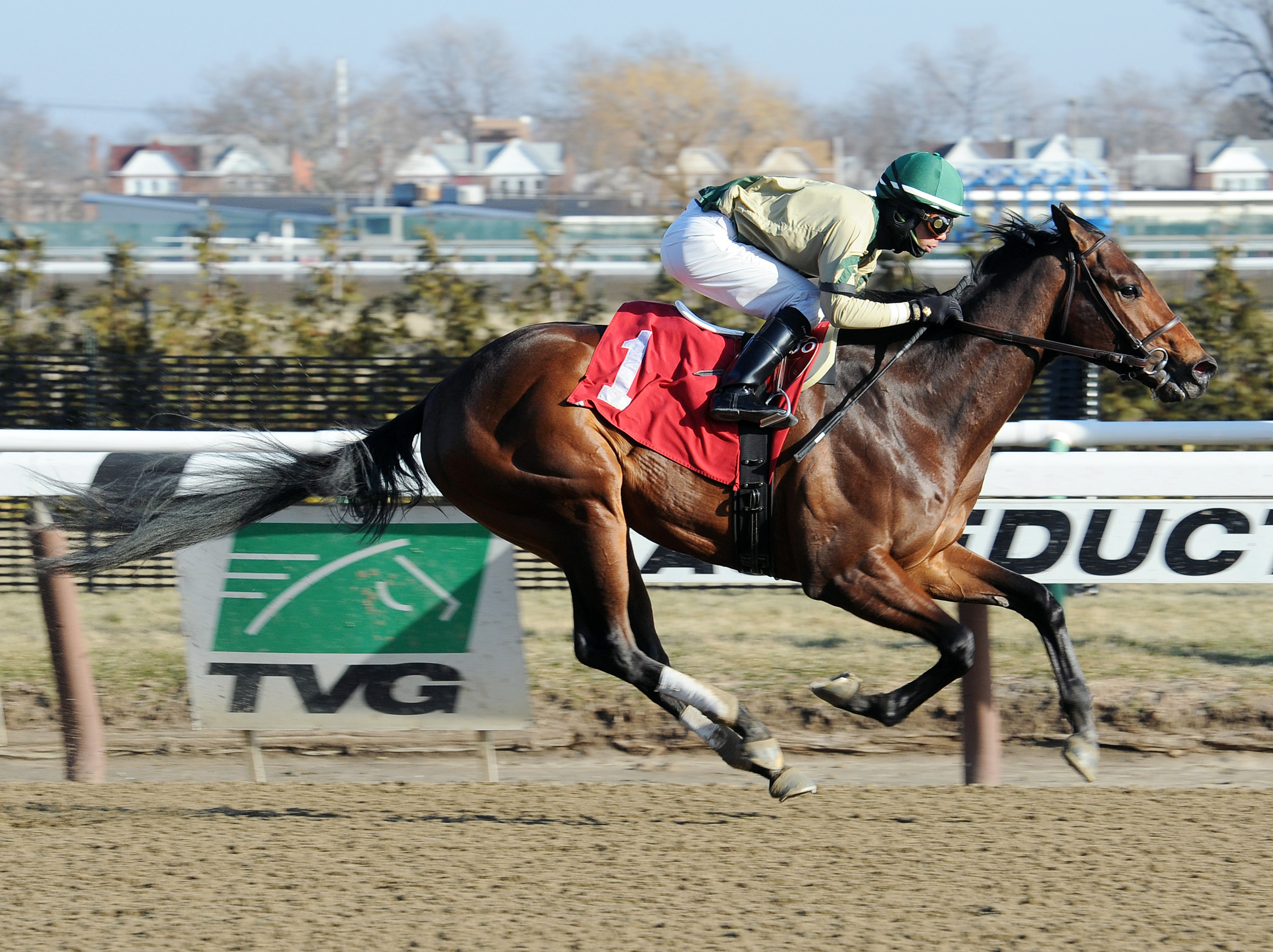 Lehigh Five wins a maiden race