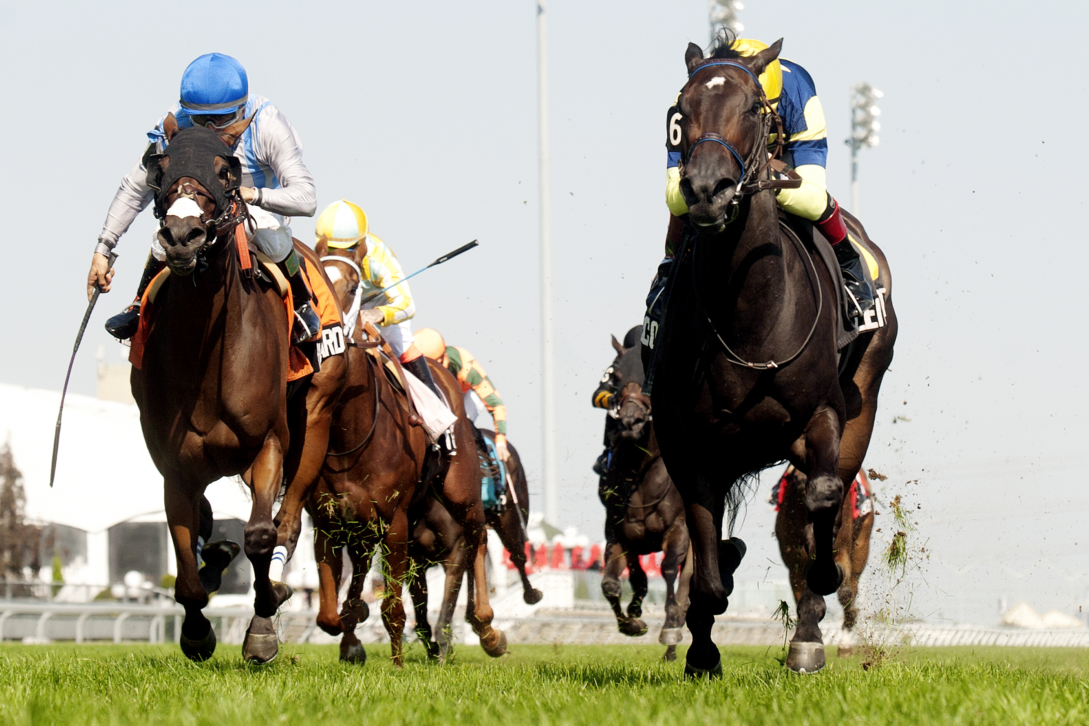 Leigh Court wins the 2013 Ontario Colleen