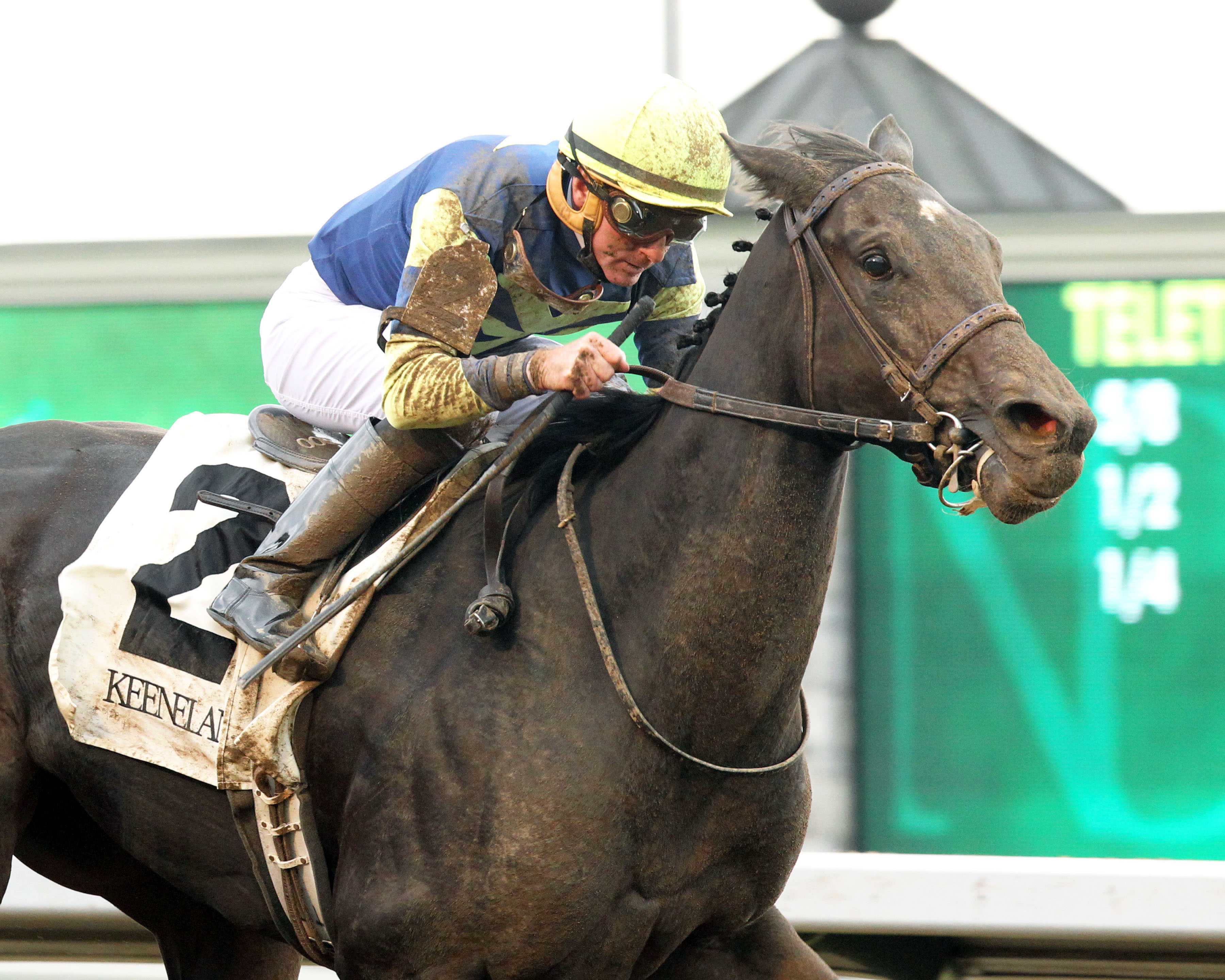 Leigh Court wins the Thoroughbreed Club of America