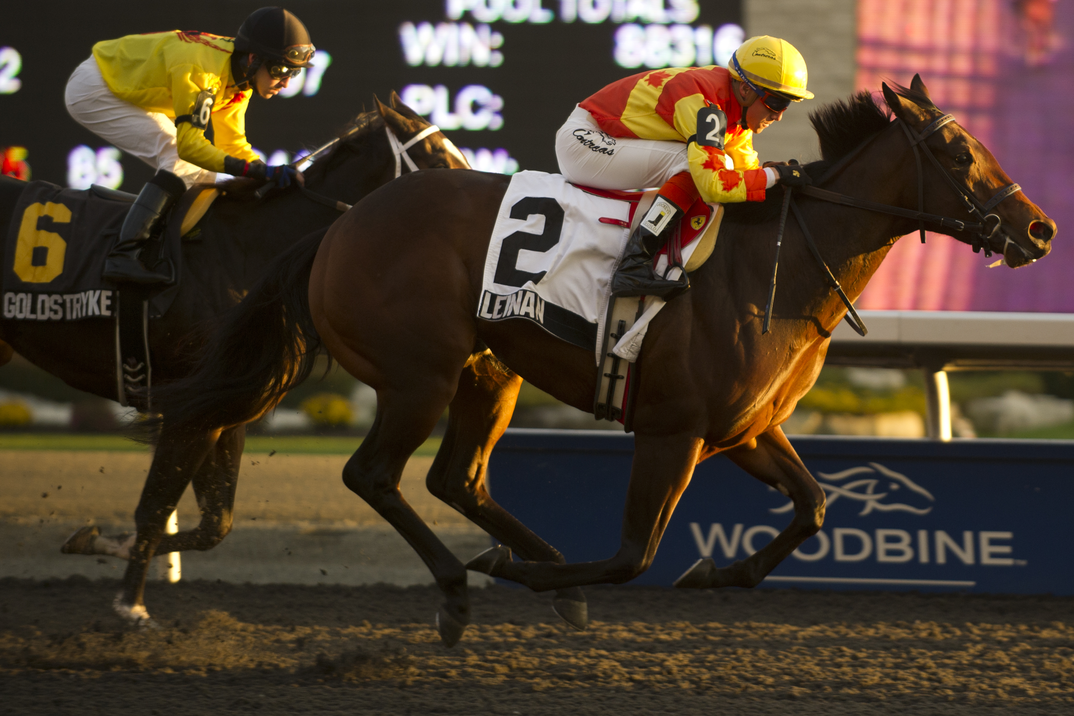 Leinan, Glorious Song Stakes