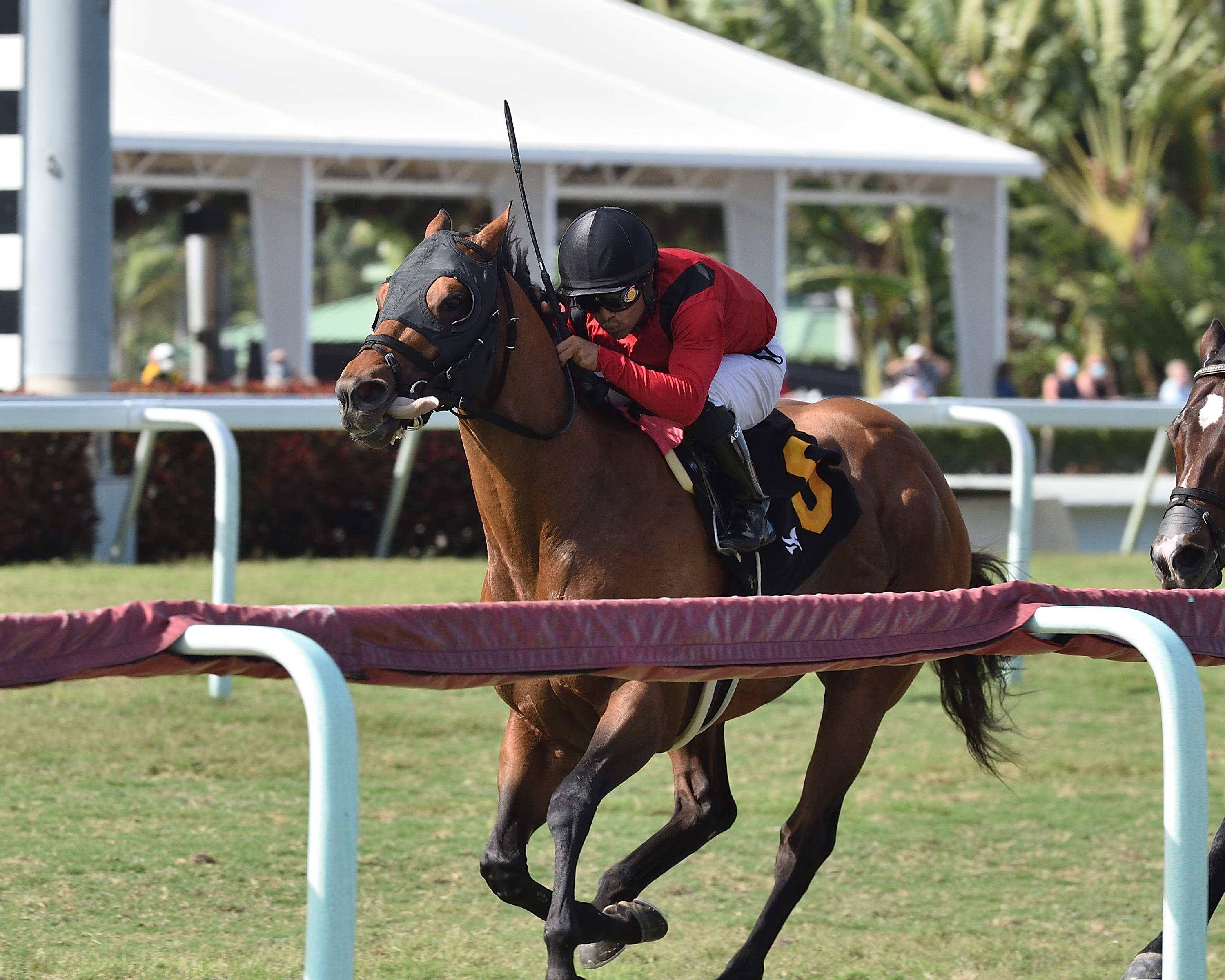 Leinster - Gulfstream Park Turf Sprint