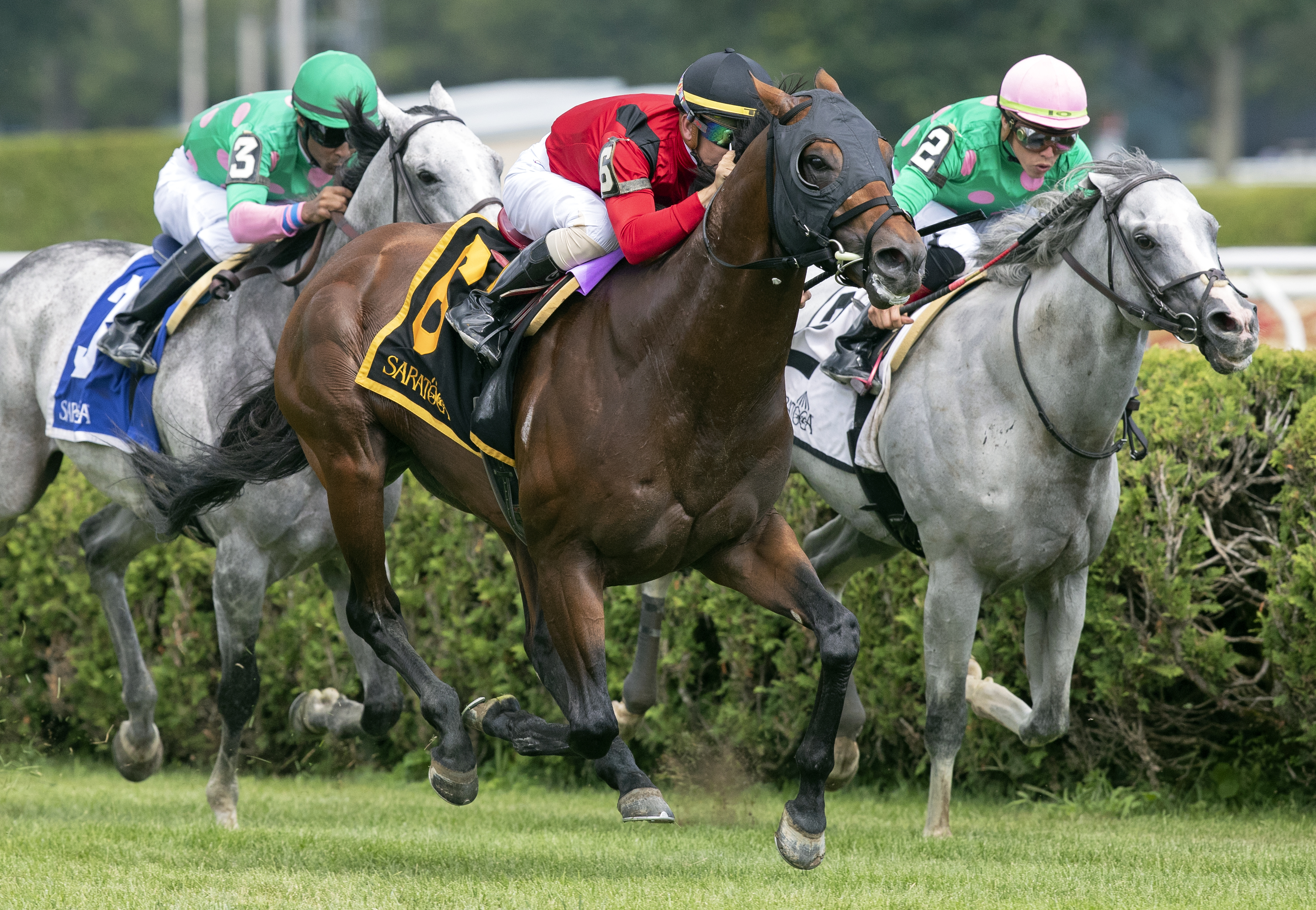 Leinster wins the Troy Stakes at Saratoga on Aug. 3, 2019