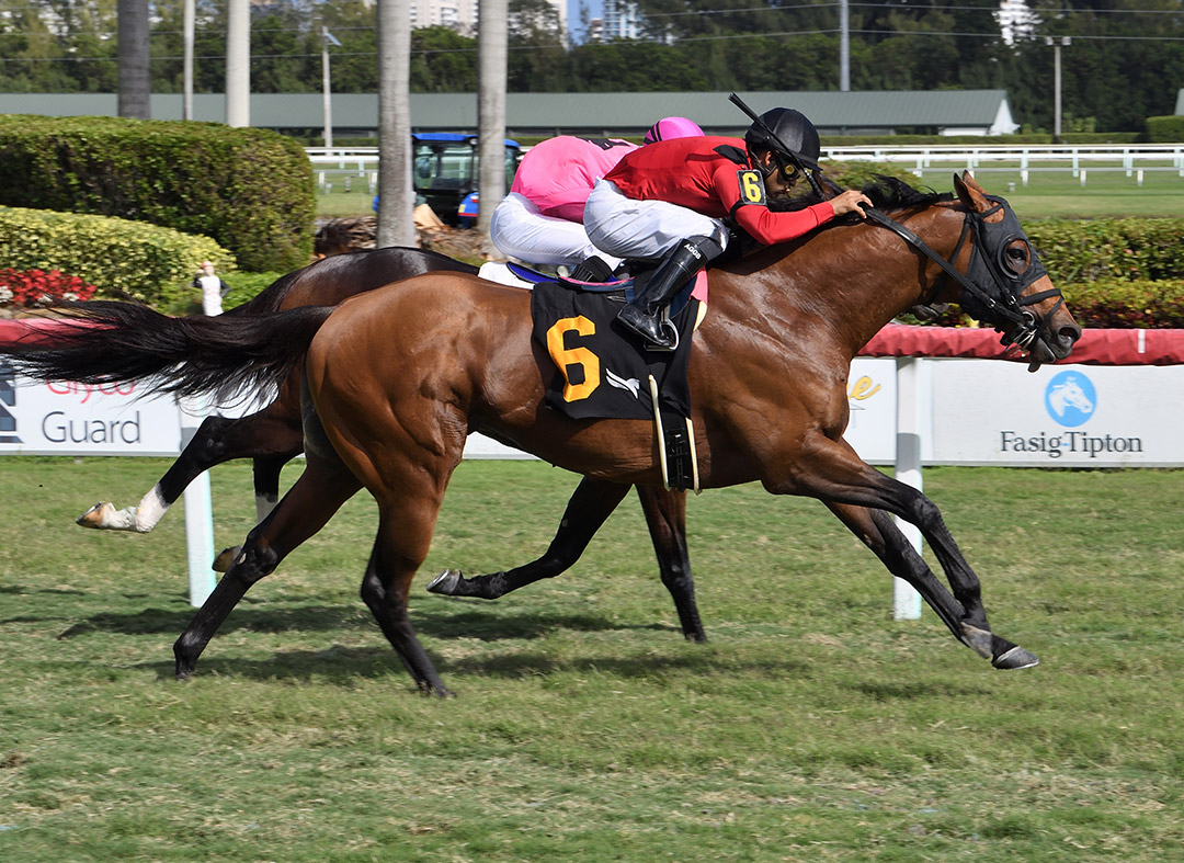 Leinster wins the 2021 Gulfstream Park Turf Sprint at Gulfstream Park