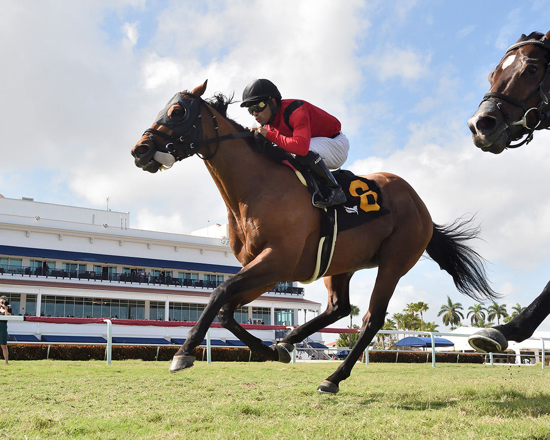 Leinster wins the 2021 Gulfstream Park Turf Sprint at Gulfstream