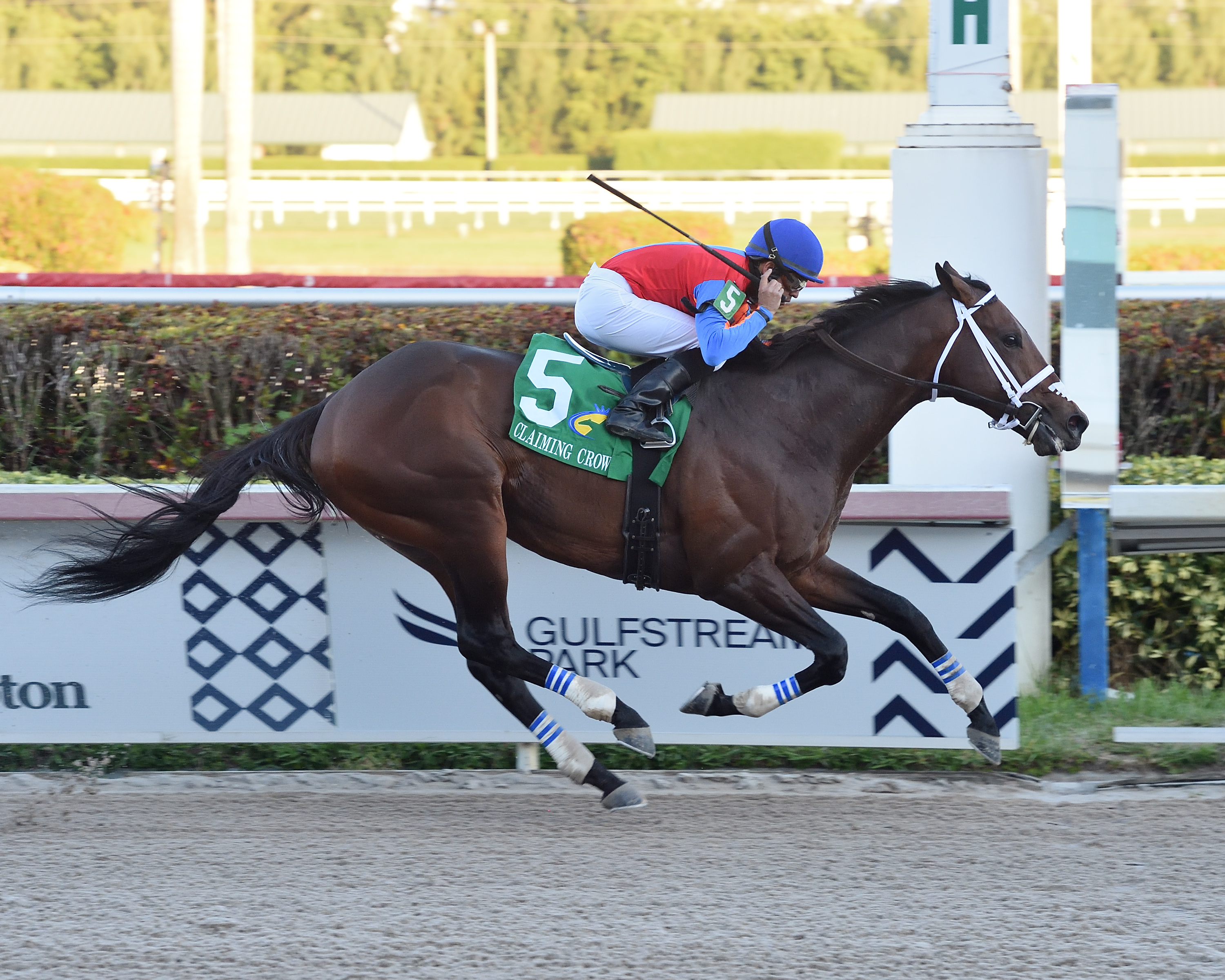 Leitone wins the 2019 Claiming Crown Jewel