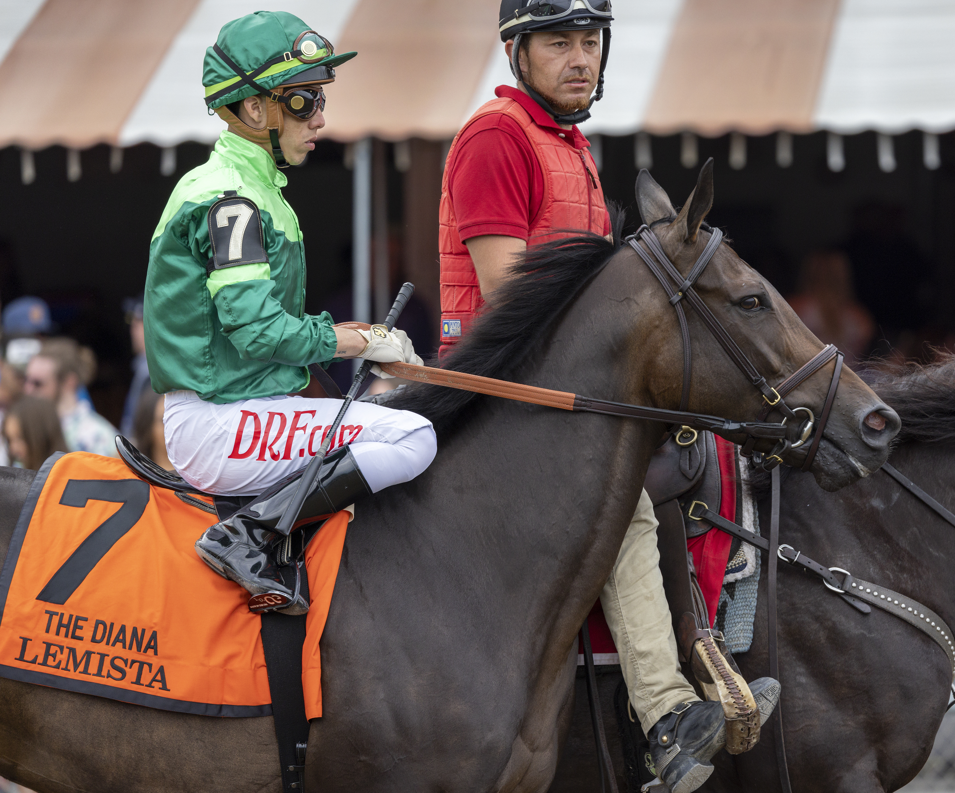 Lemista at Saratoga on July 17 2022