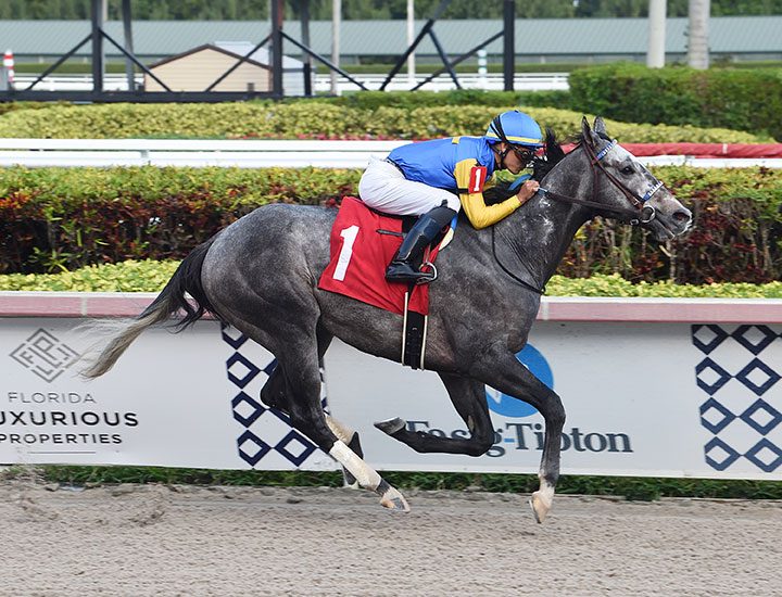 Lemniscate wins a Jan. 24 allowance at Gulfstream Park