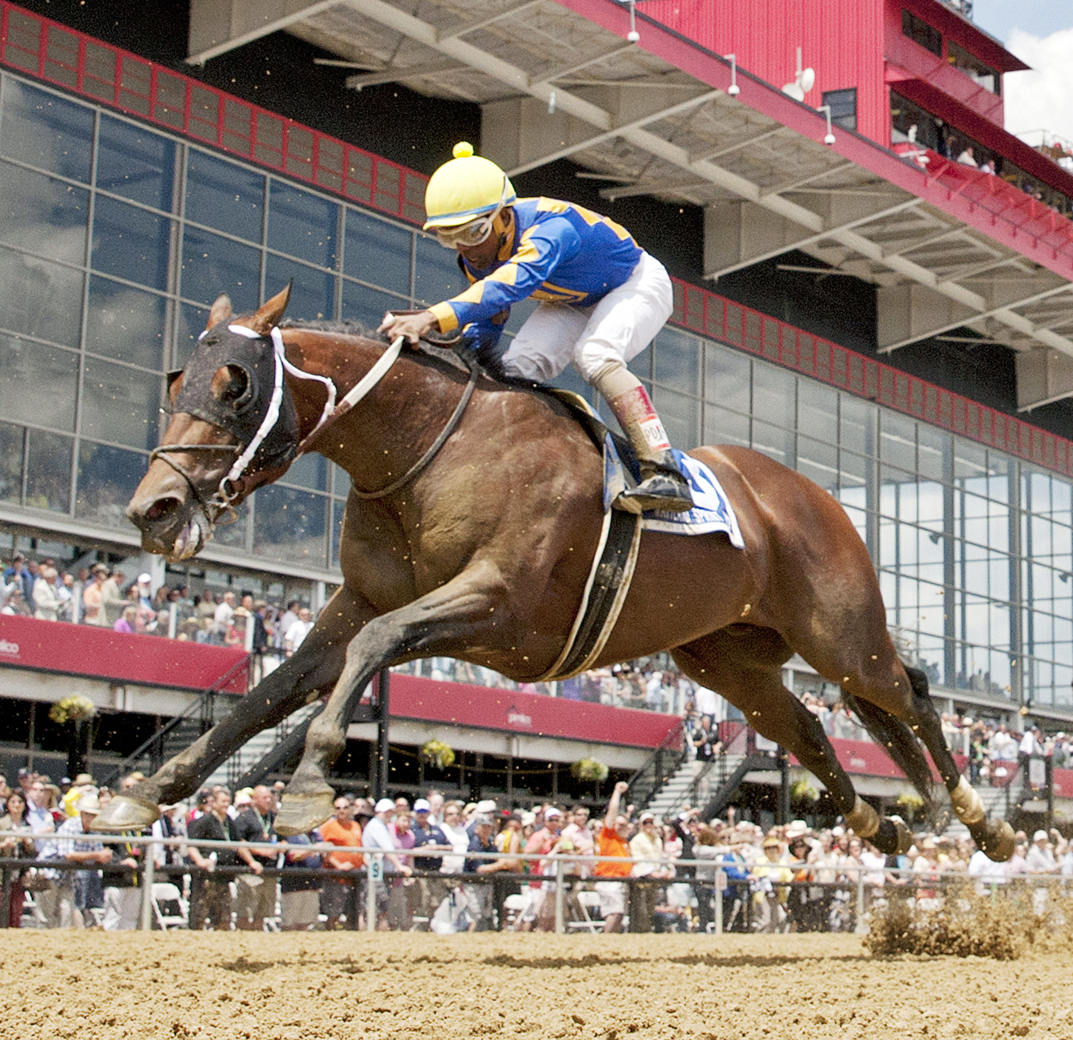 Lemon Drop Dream finishes second in the Maryland Sprint Handicap