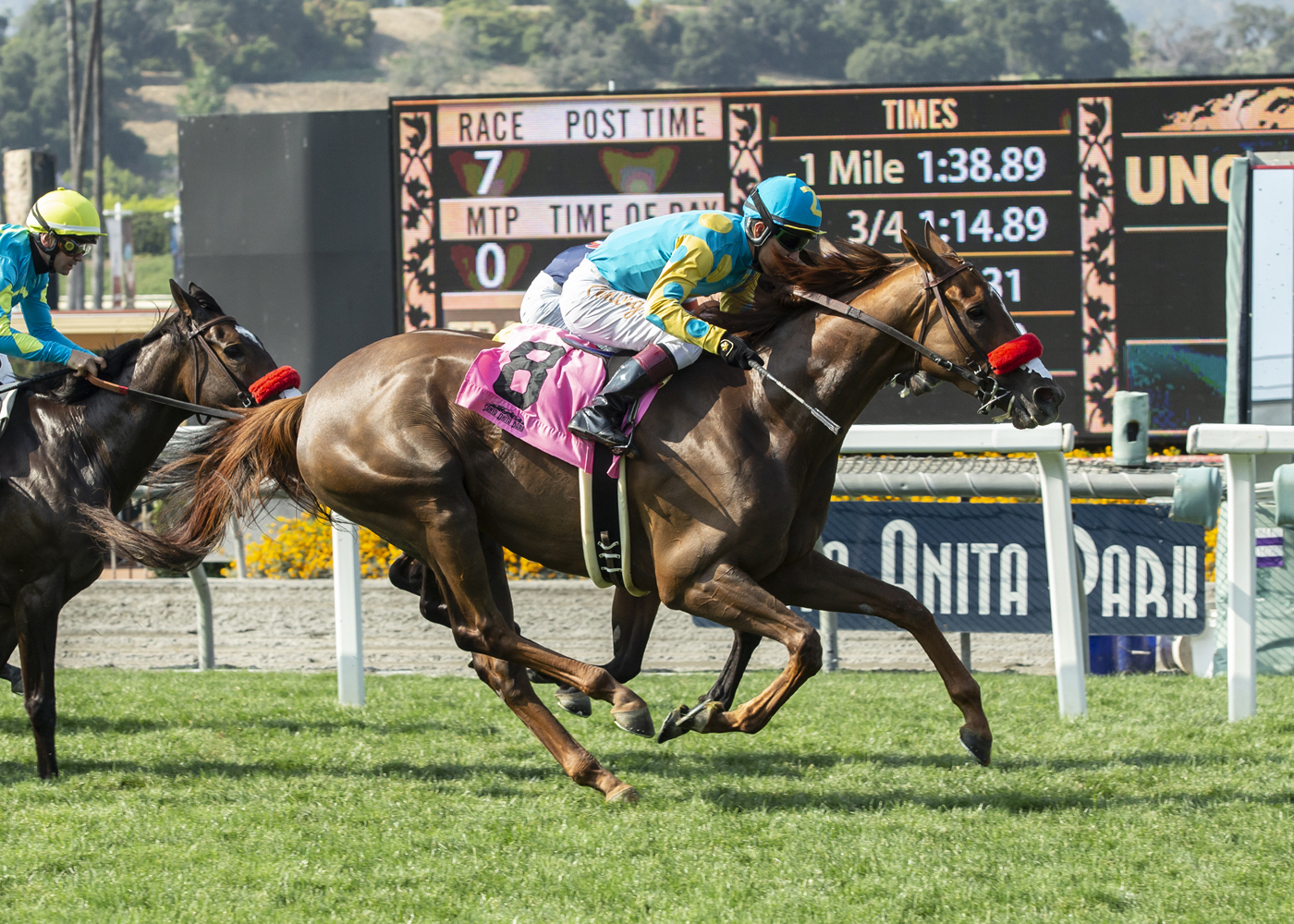 Lemoona wins the 2019 Possibly Perfect Stakes