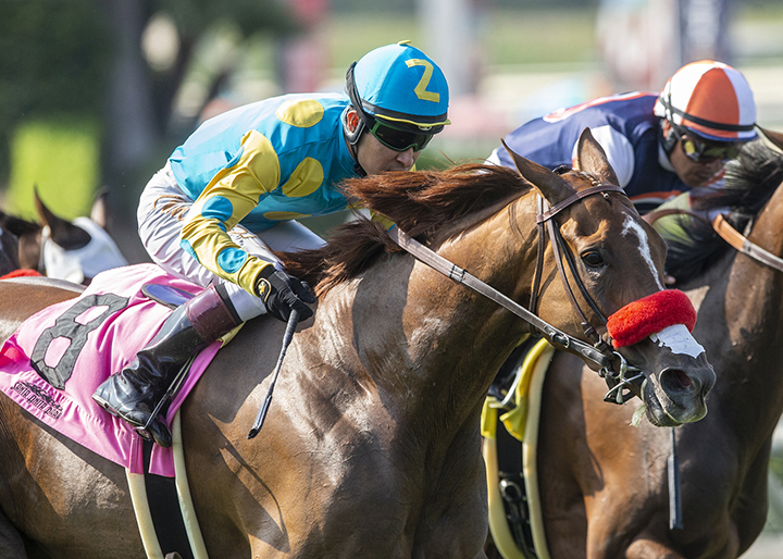 Lemoona wins the 2019 Possibly Perfect Stakes at Santa Anita Park