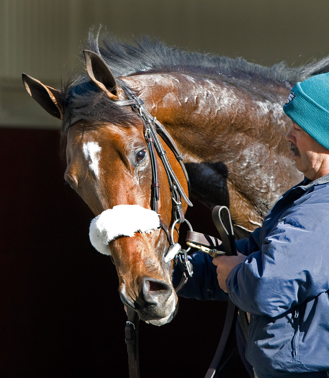 Lentenor in 2009