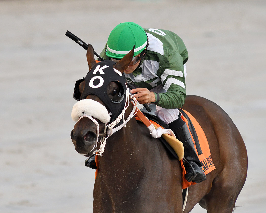Lenzi's Lucky Lady wins the 2019 Desert Vixen Stakes at Gulfstream Park