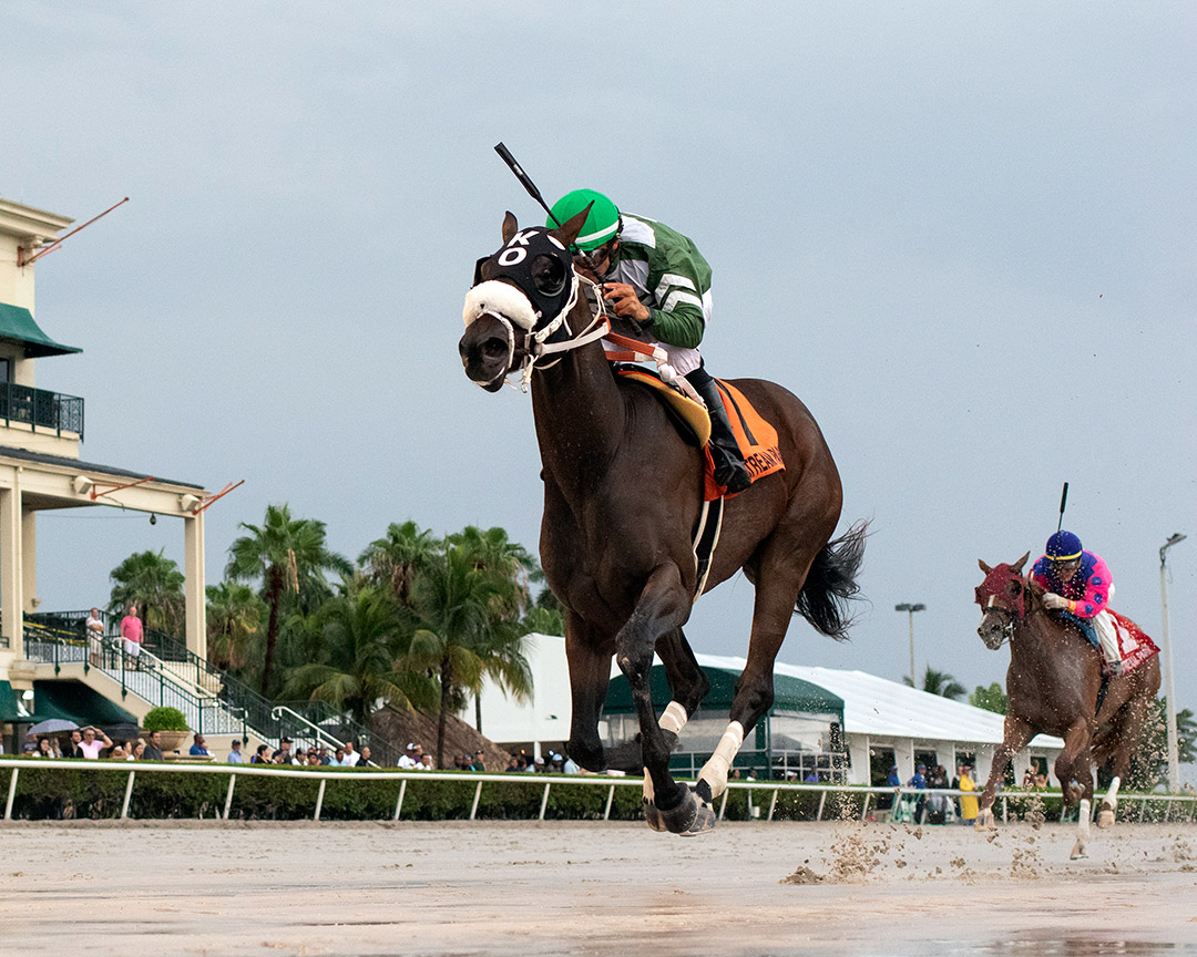 Lenzi's Lucky Lady wins the 2019 Desert Vixen Stakes at Gulfstream Park