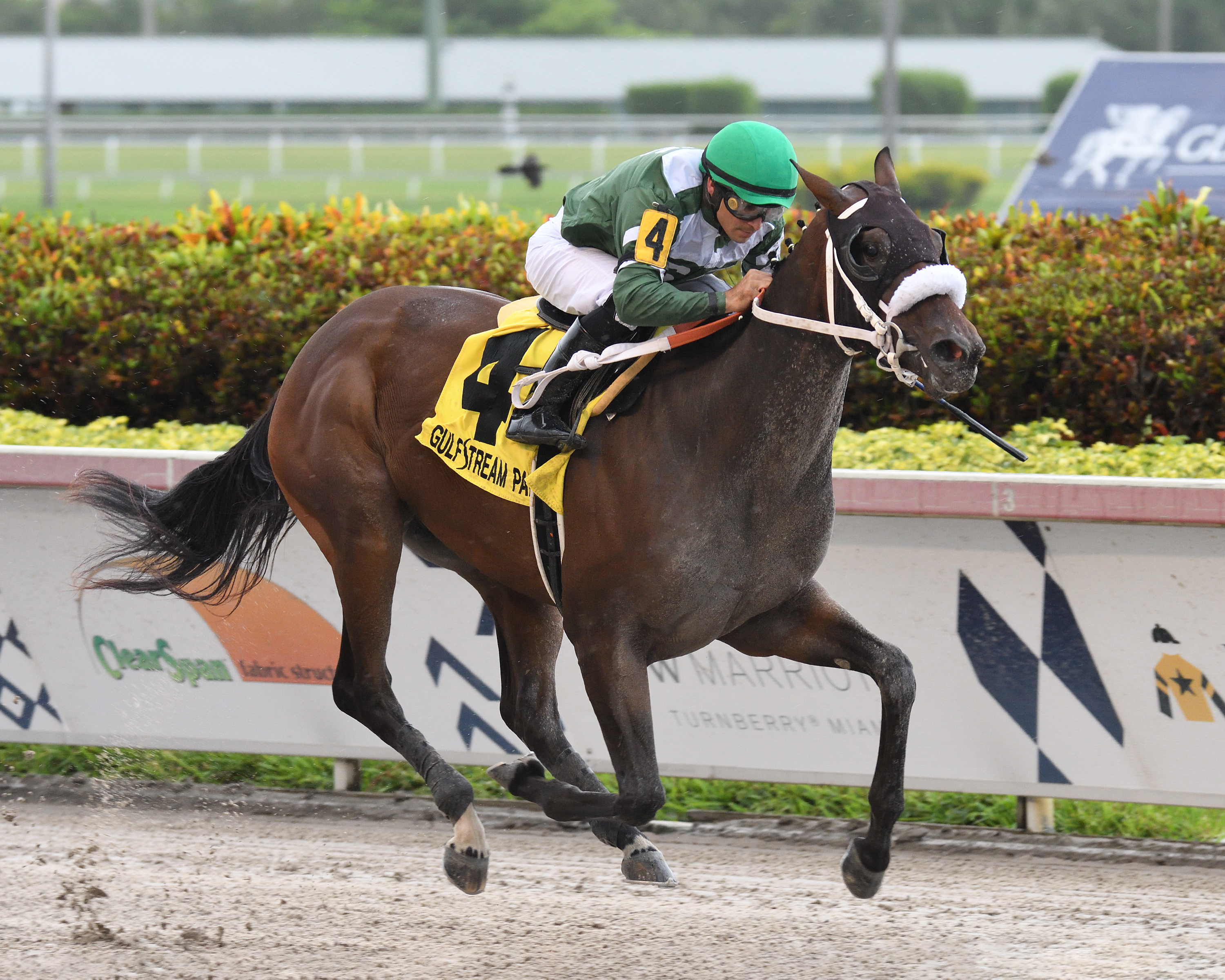 Luck Lady Lenzi Golden Isles