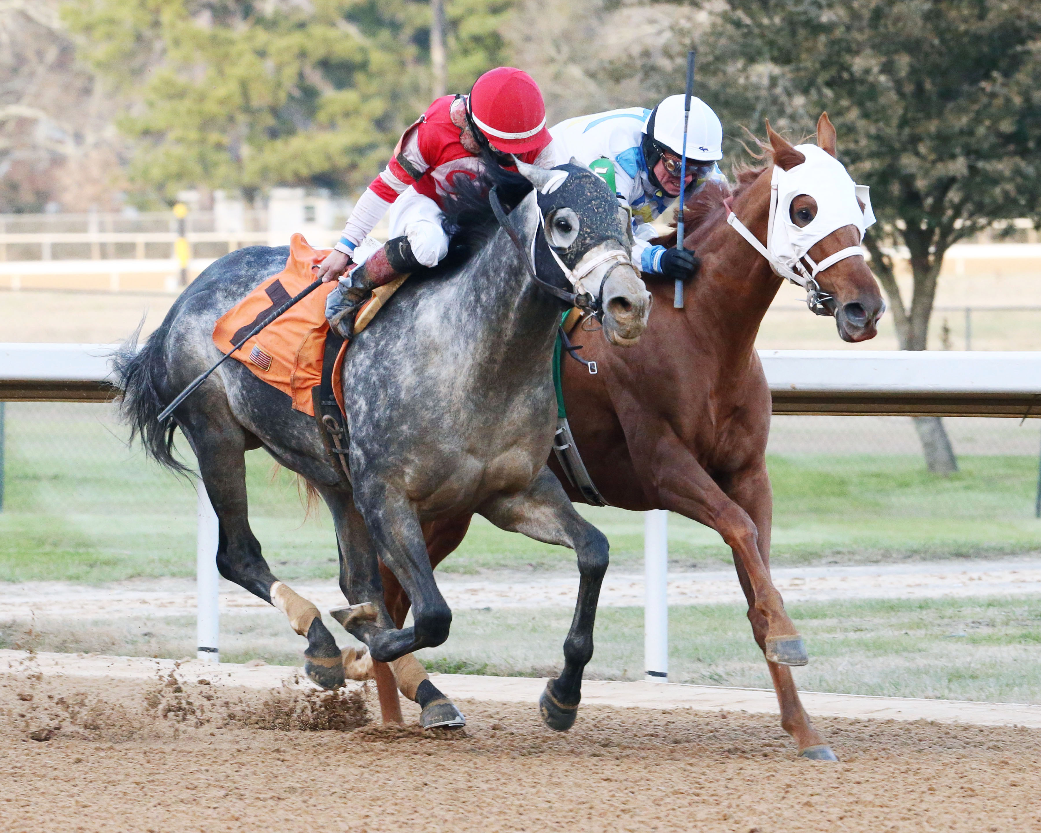 Thirstforlife finishes second in a Jan. 14 allowance at Oaklawn