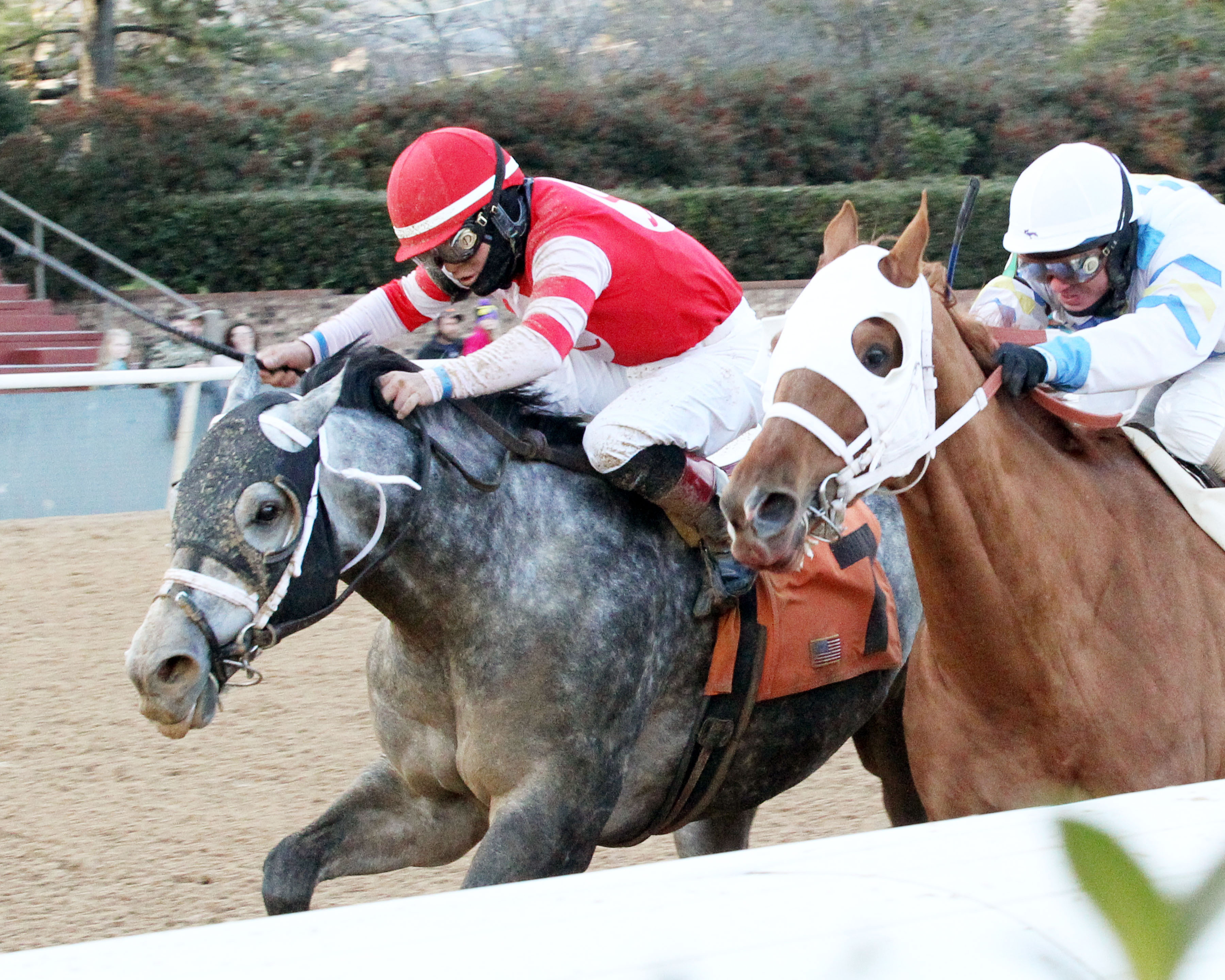 Leofric wins a Jan. 14 allowance race