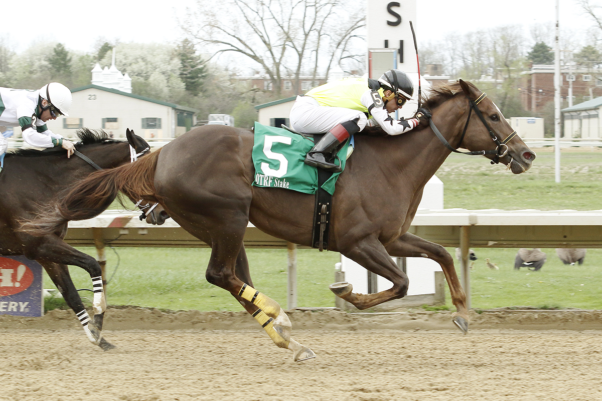 Leona-s Reward wins the Dr T F Classen Memorial Stakes