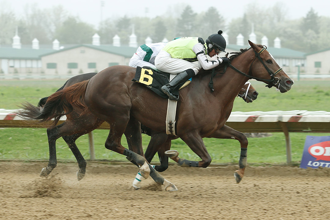 Leona's Reward wins the 2019 Dr. T. F. Classen Memorial Stakes at ThistleDown