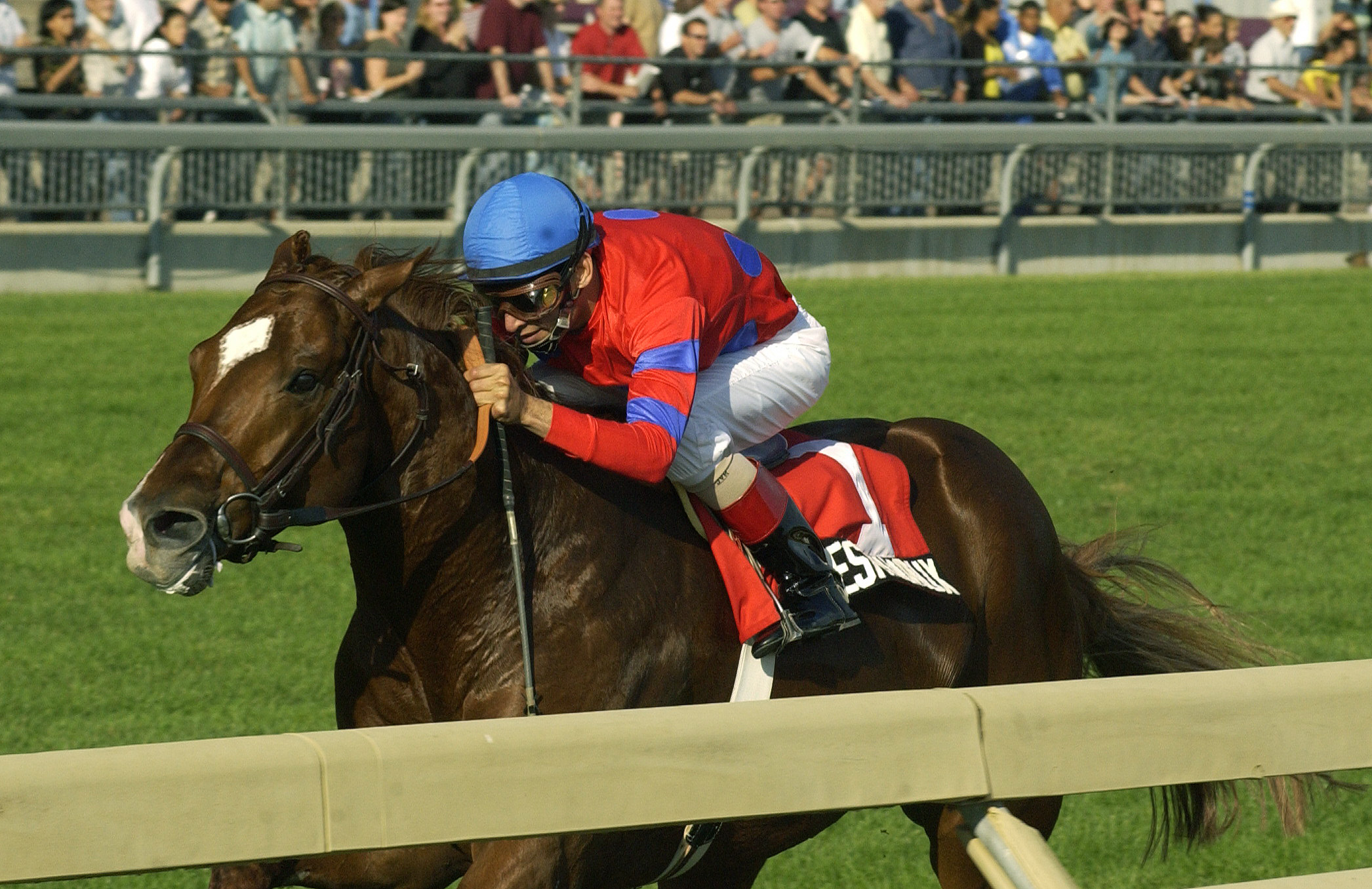 Leroidesanimaux, 2005 Atto Mile