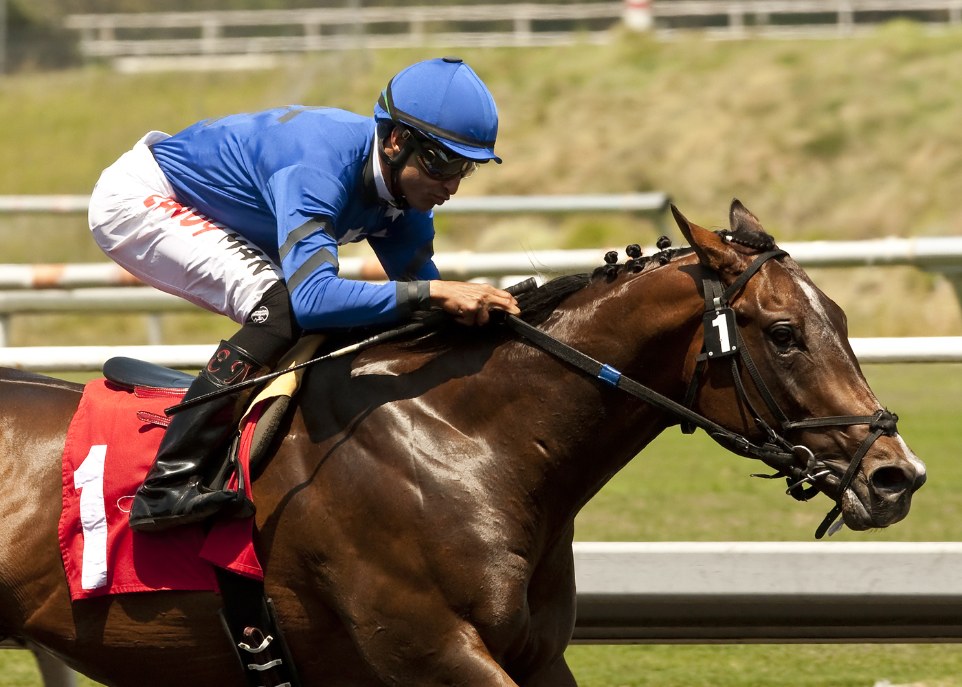 Let Em Shine, Came Home Stakes