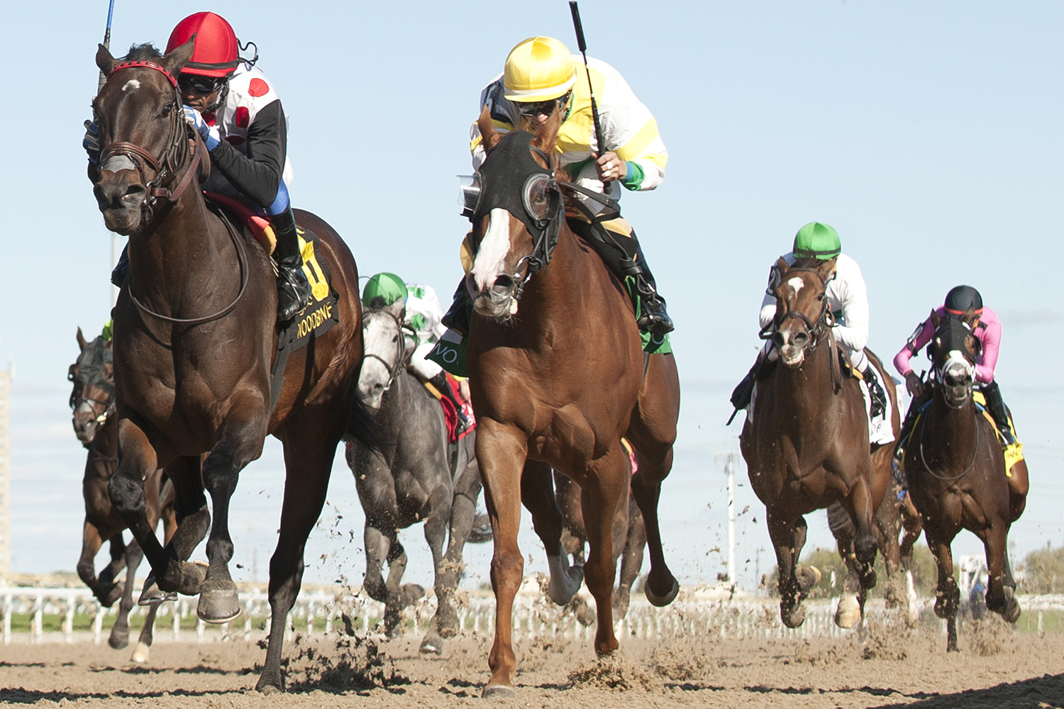 Let It Ride Mom wins the 2017 La Lorgnette Stakes