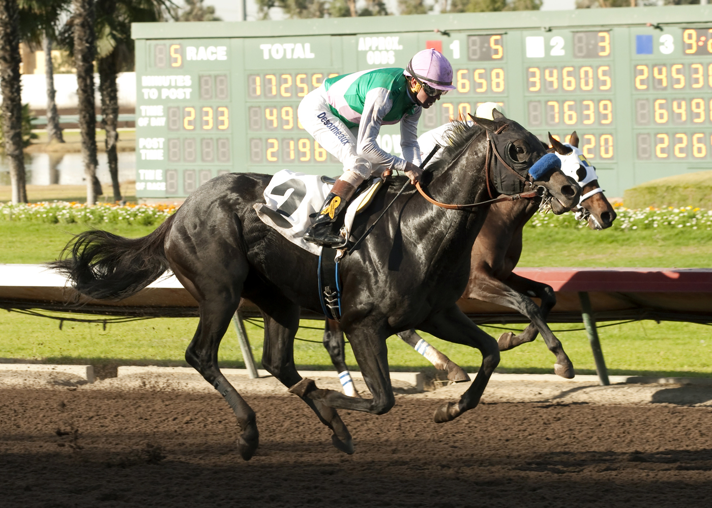 Let's Meet in Rio wins a maiden race