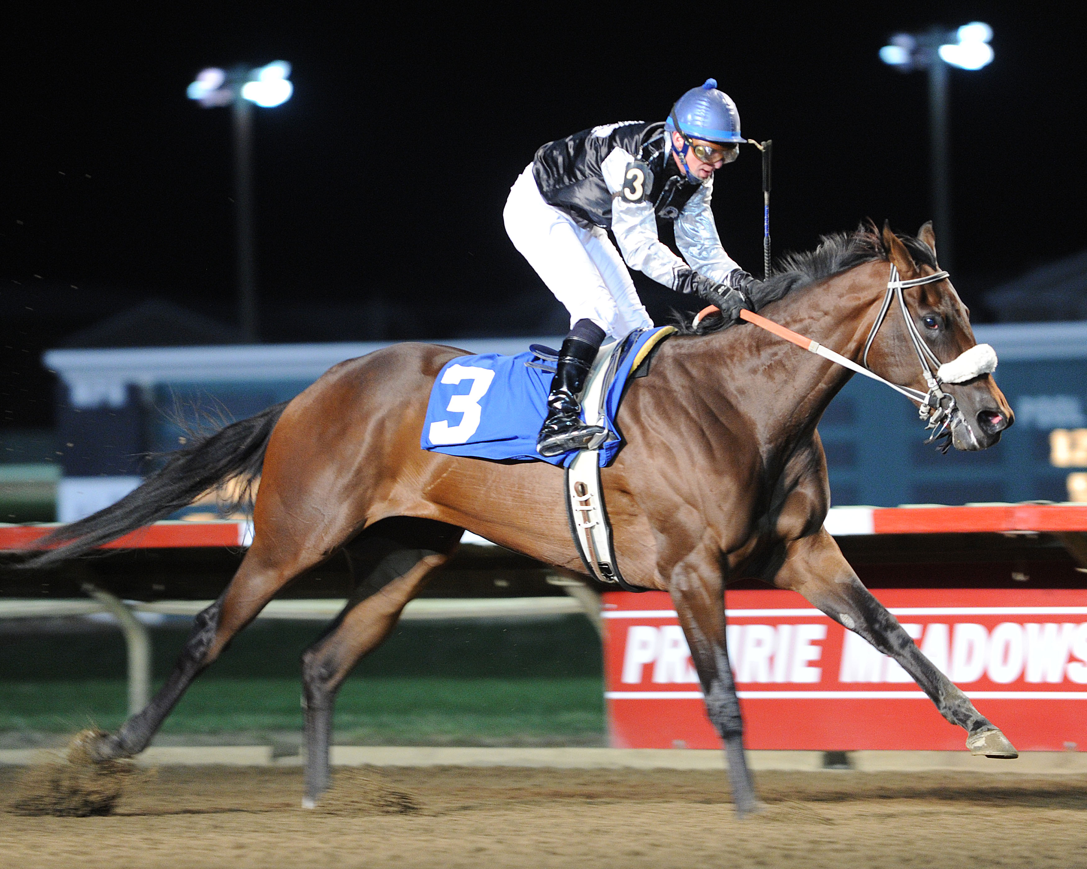 Let Her Dance wins 2014 Goldfinch