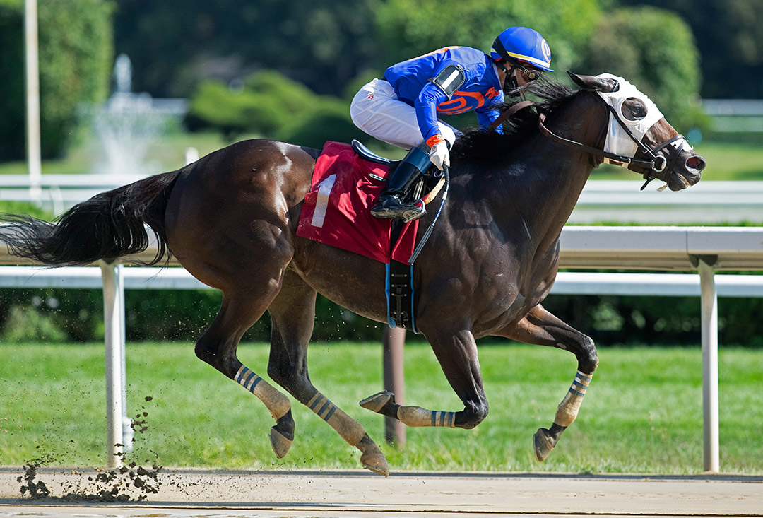 Letmetakethiscall wins an Aug. 29 allowance at Saratoga Race Course