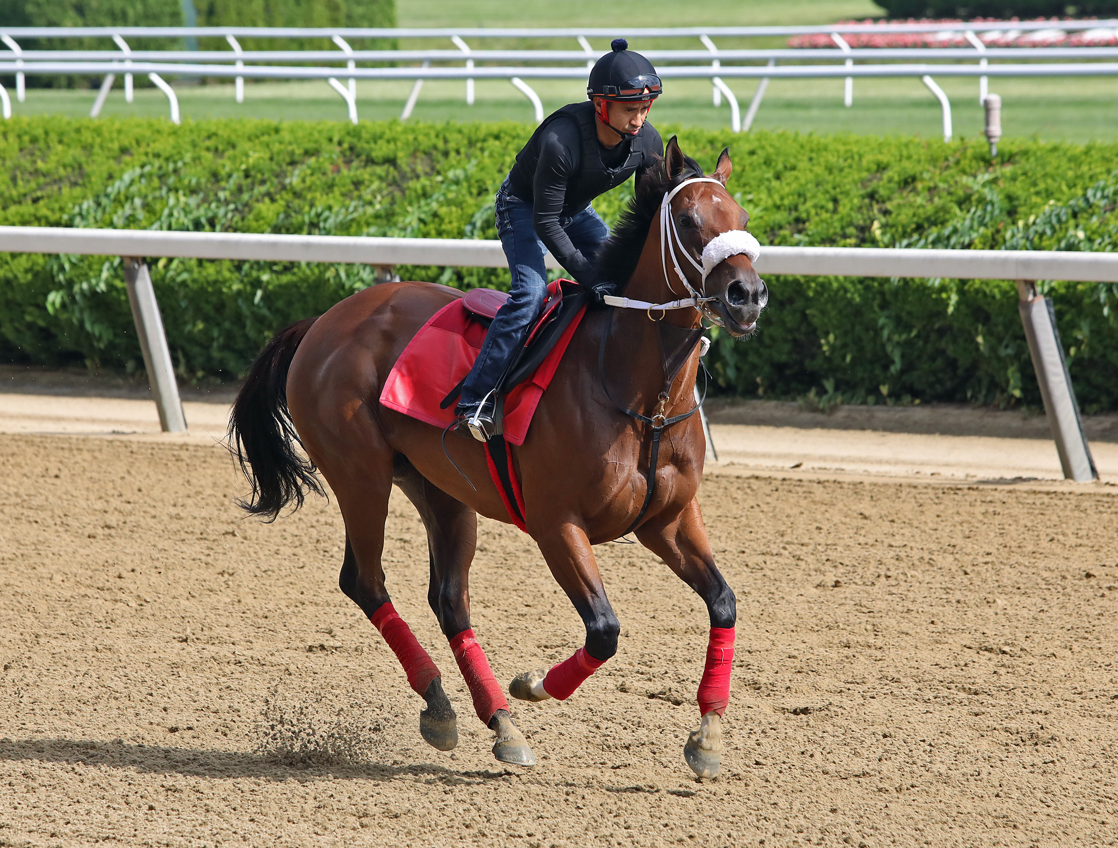 Letruska at Belmont Park on June 8 2022