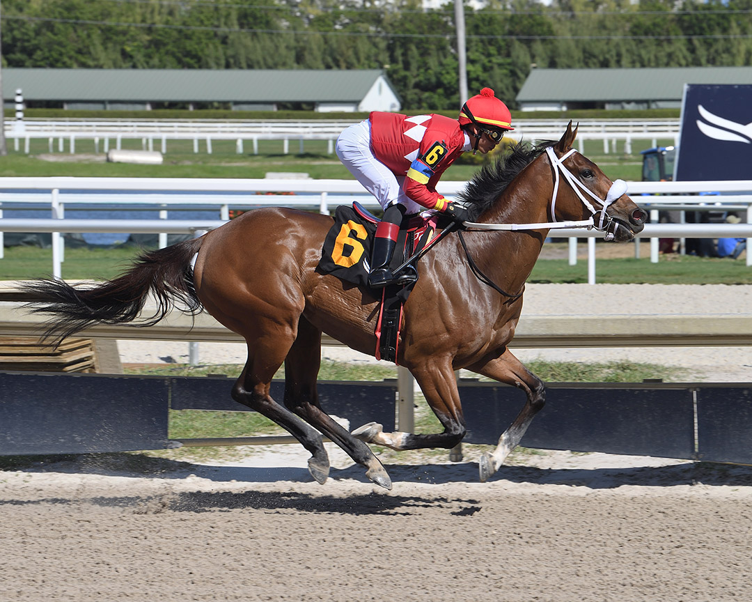 Letruska wins the 2022 Royal Delta Stakes at Gulfstream Park
