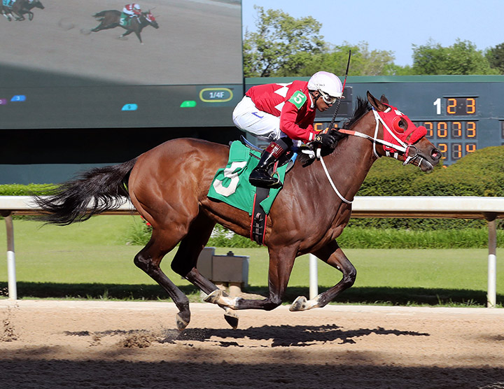 Letruska wins an April 16 allowance at Oaklawn Park