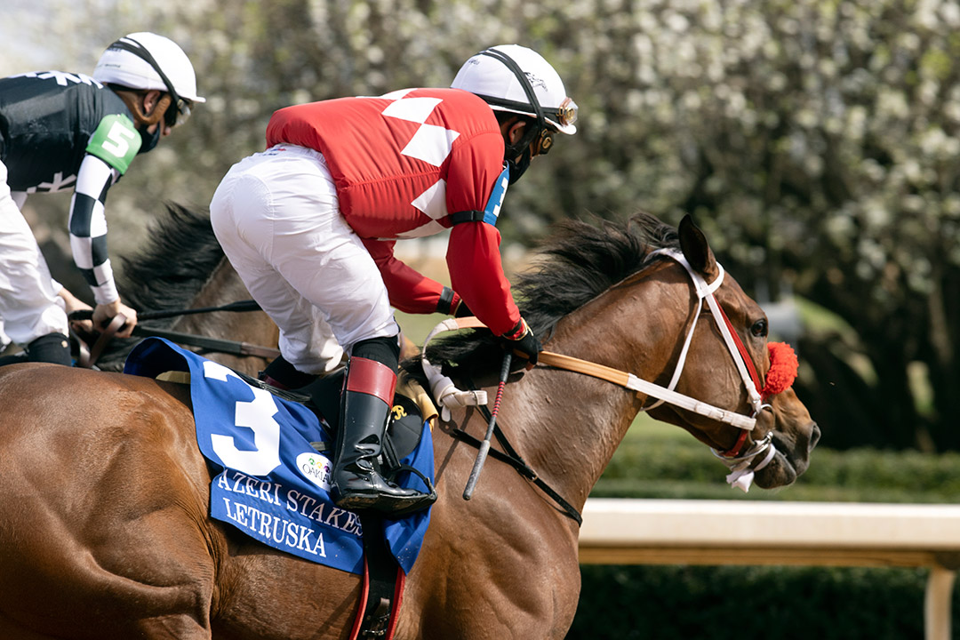 Letruska finishes second in the 2021 Azeri Stakes at Oaklawn Park