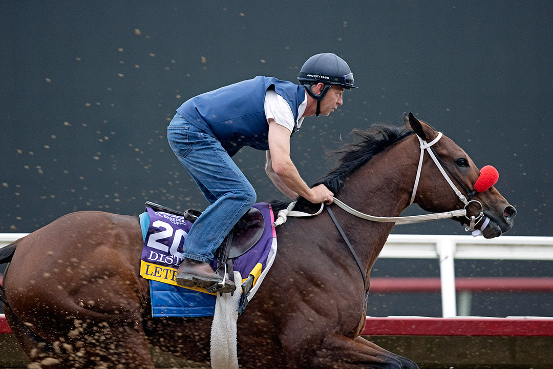 Letruska trains at Del Mar on Oct. 30