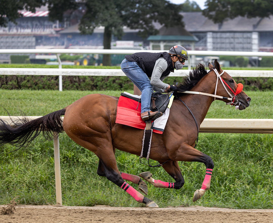 Letruska trains at Saratoga on Aug. 21